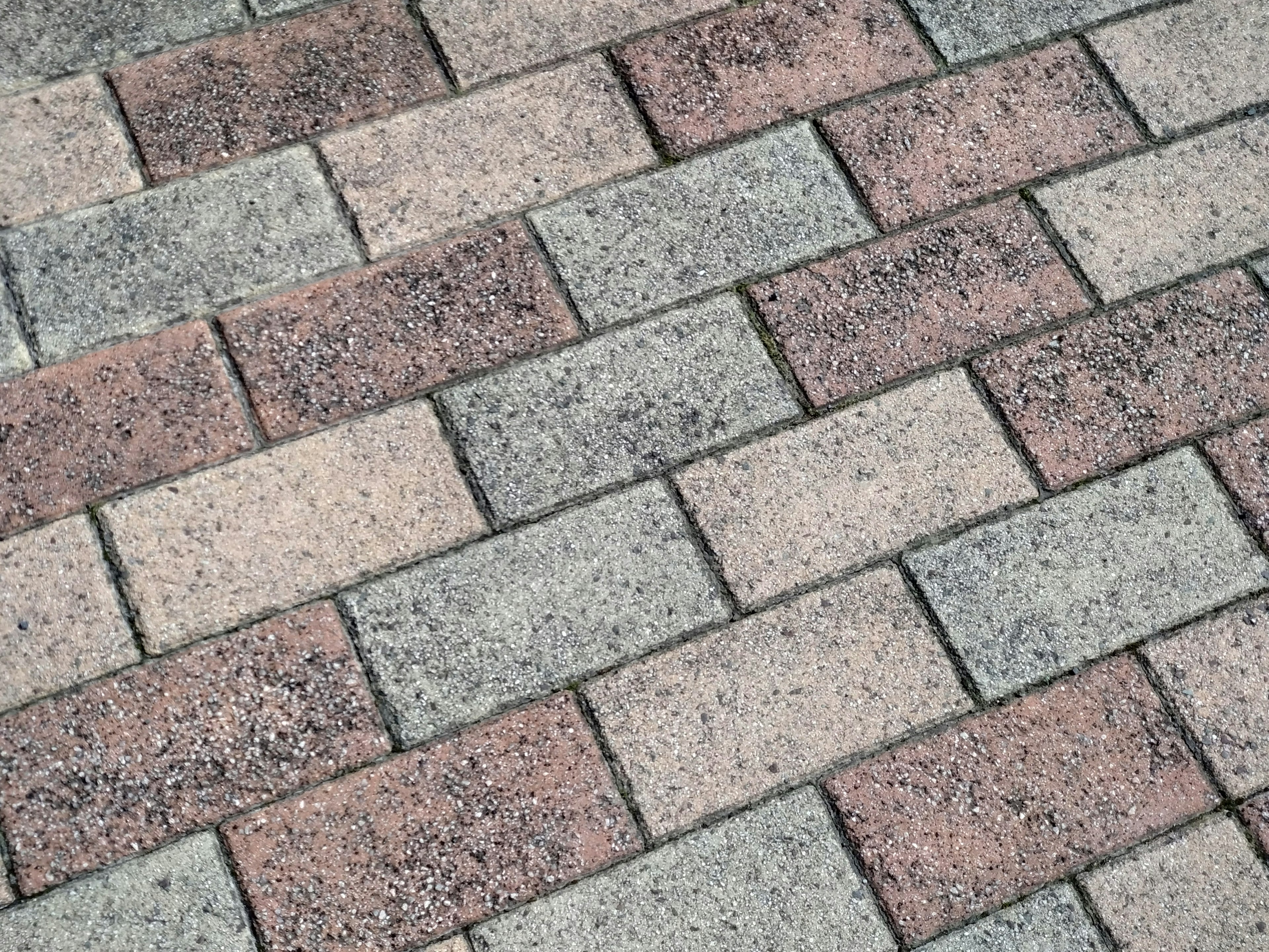 Paved walkway featuring a brick pattern