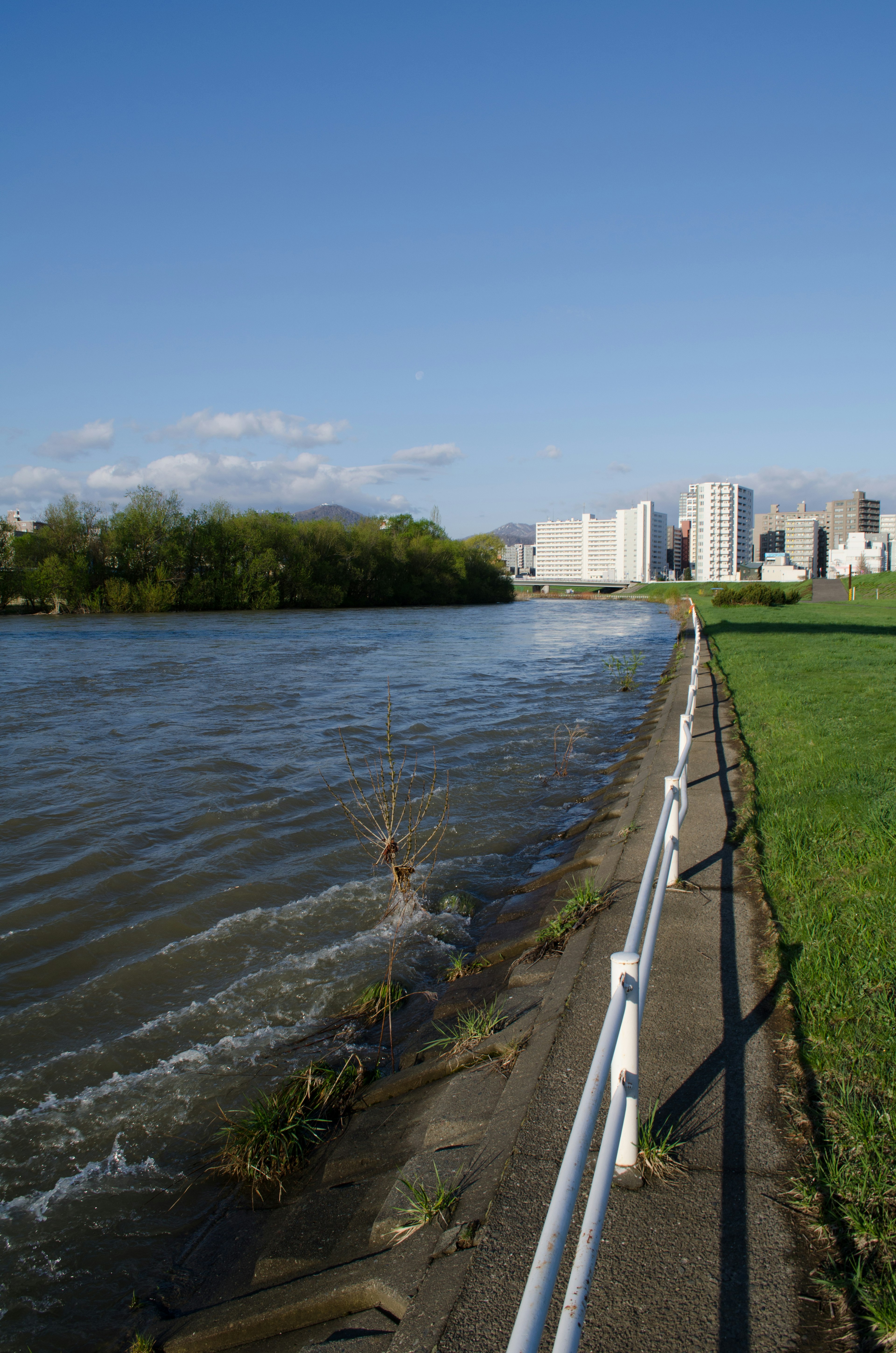 Vista escénica de un río con parque verde y edificios al fondo