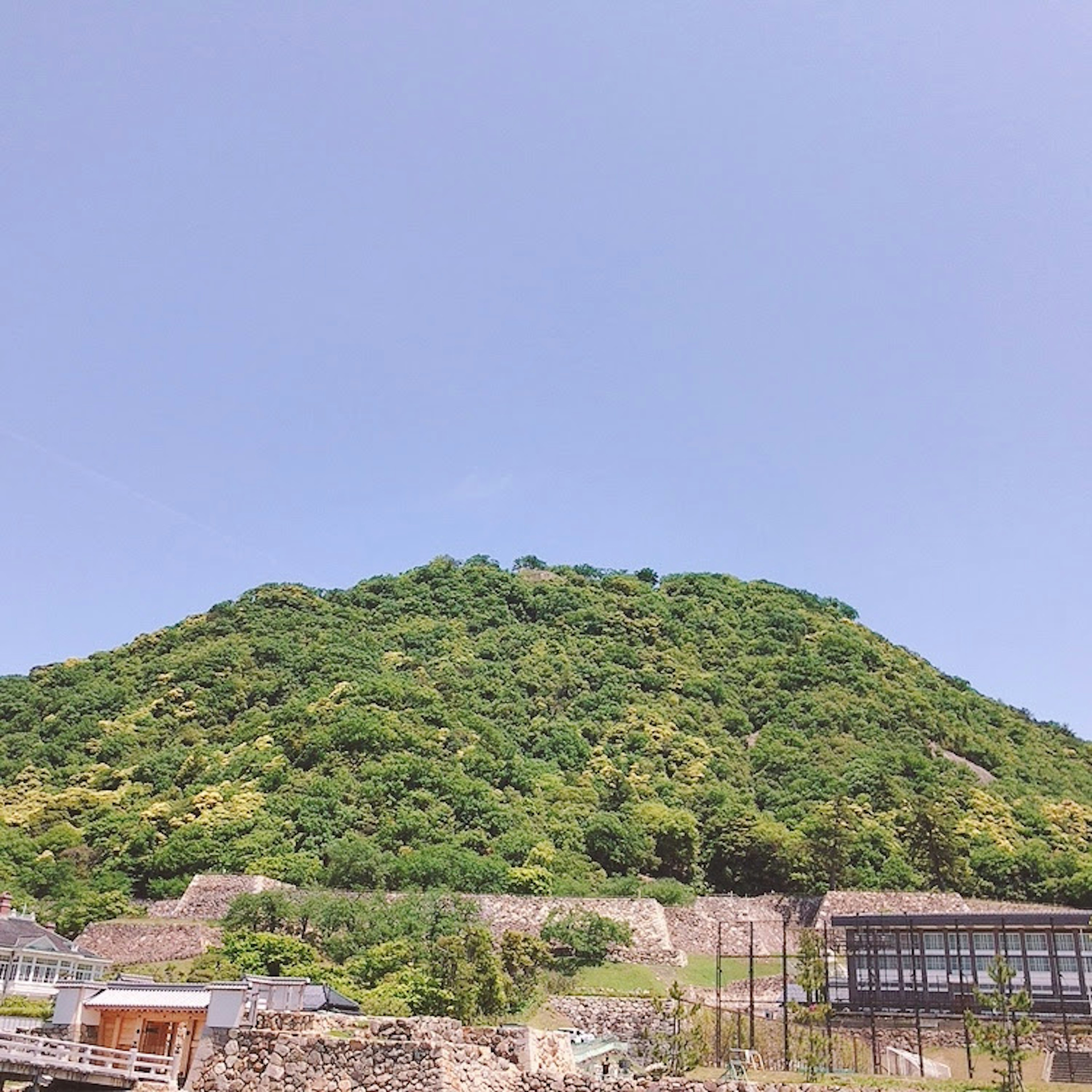 Collina verde lussureggiante sotto un cielo blu chiaro