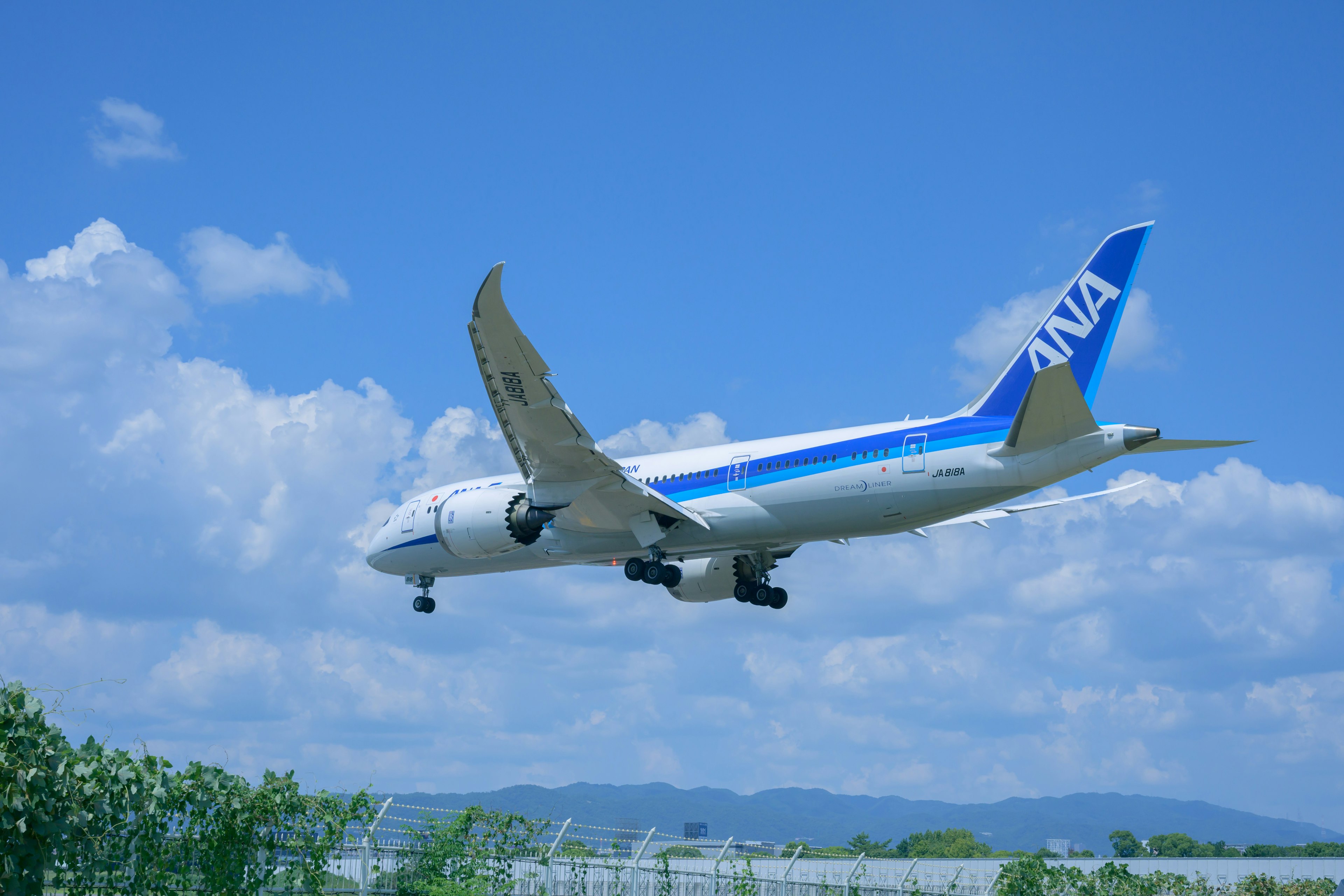 Aereo ANA in atterraggio contro un cielo azzurro