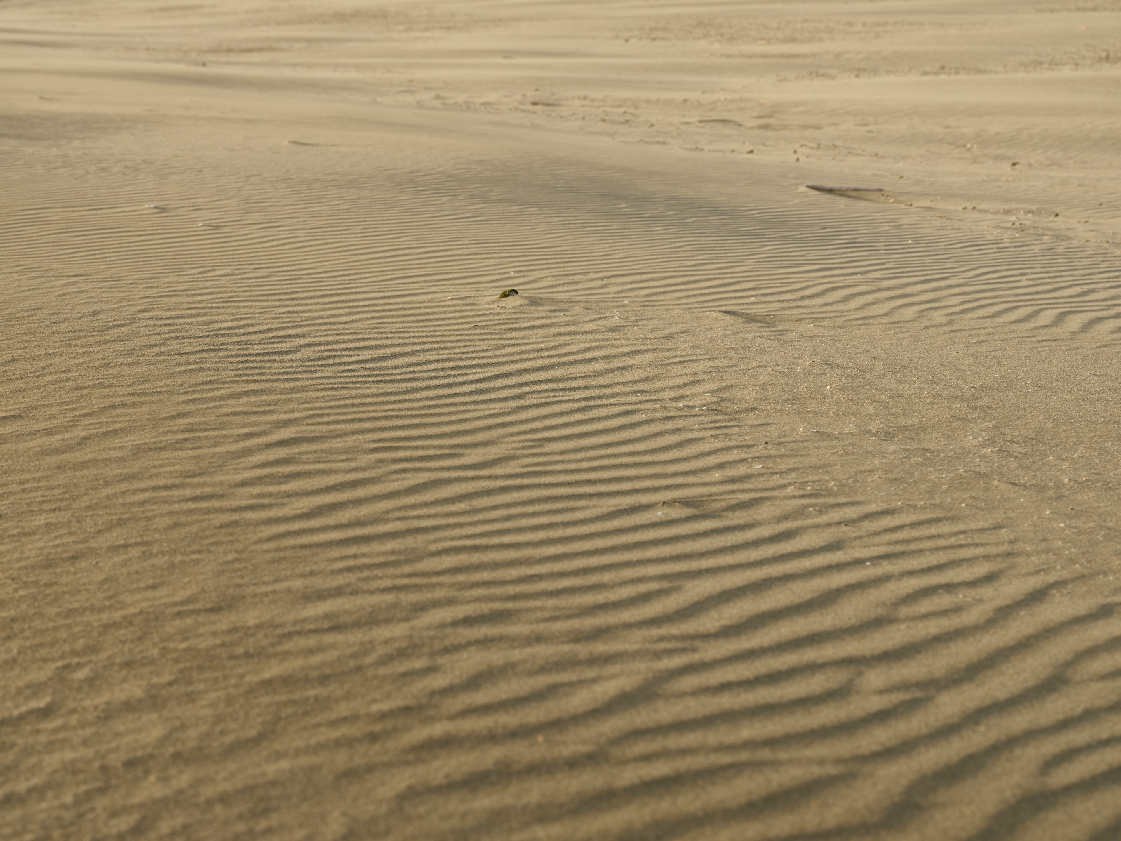 Motifs ondulés sur un paysage de sable