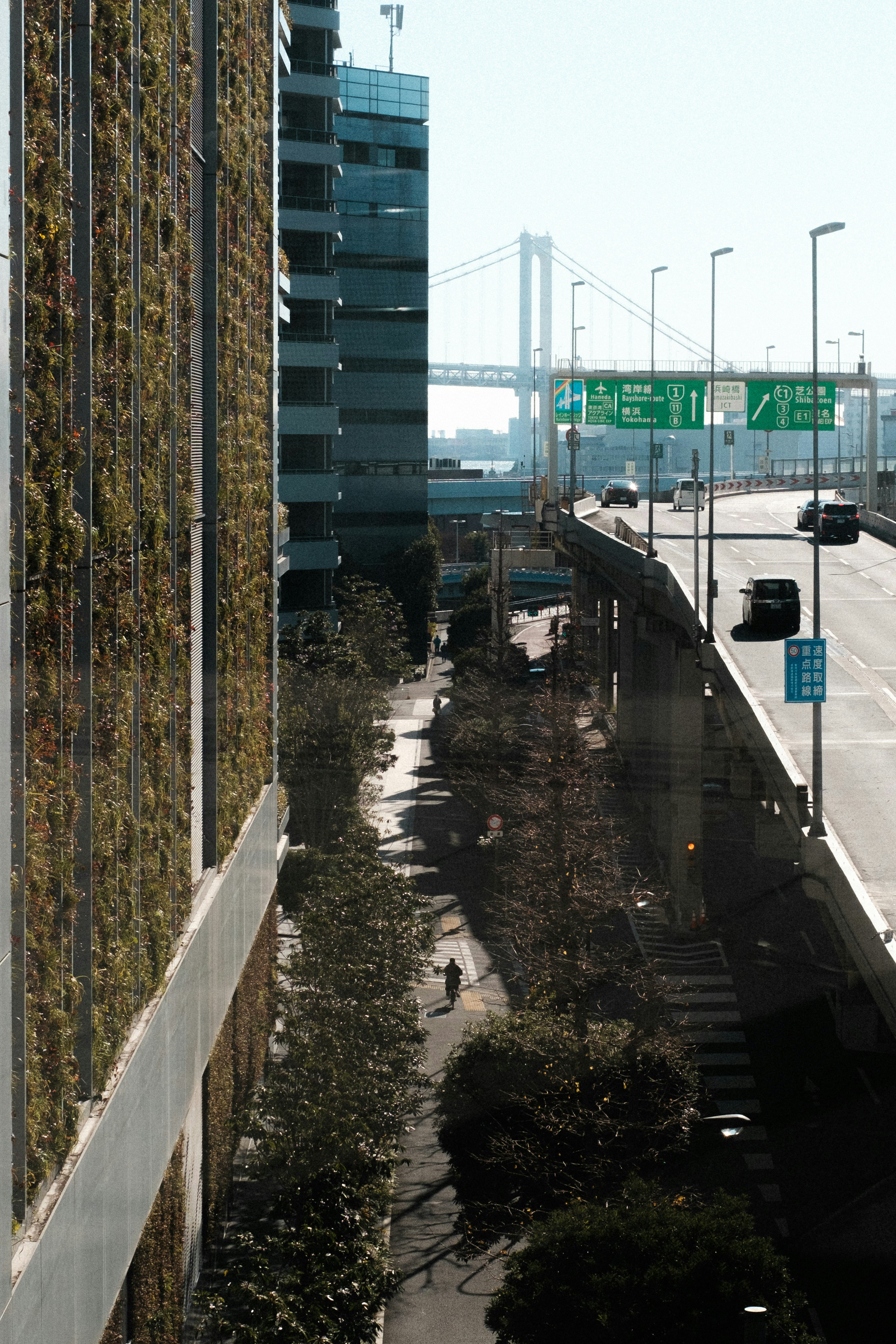 緑の壁が特徴的なビルと高速道路の風景