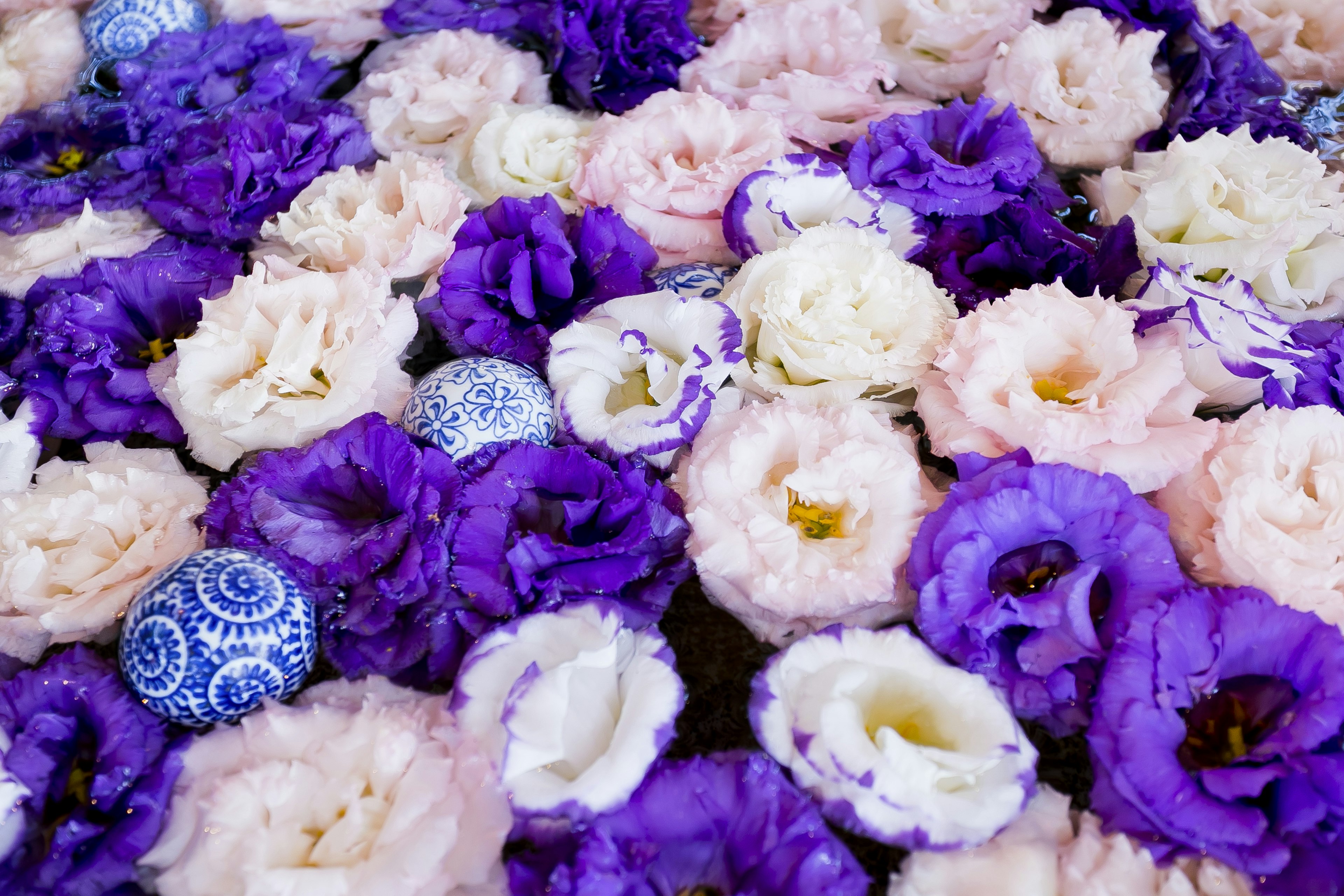 Hermoso arreglo floral con flores moradas y rosas