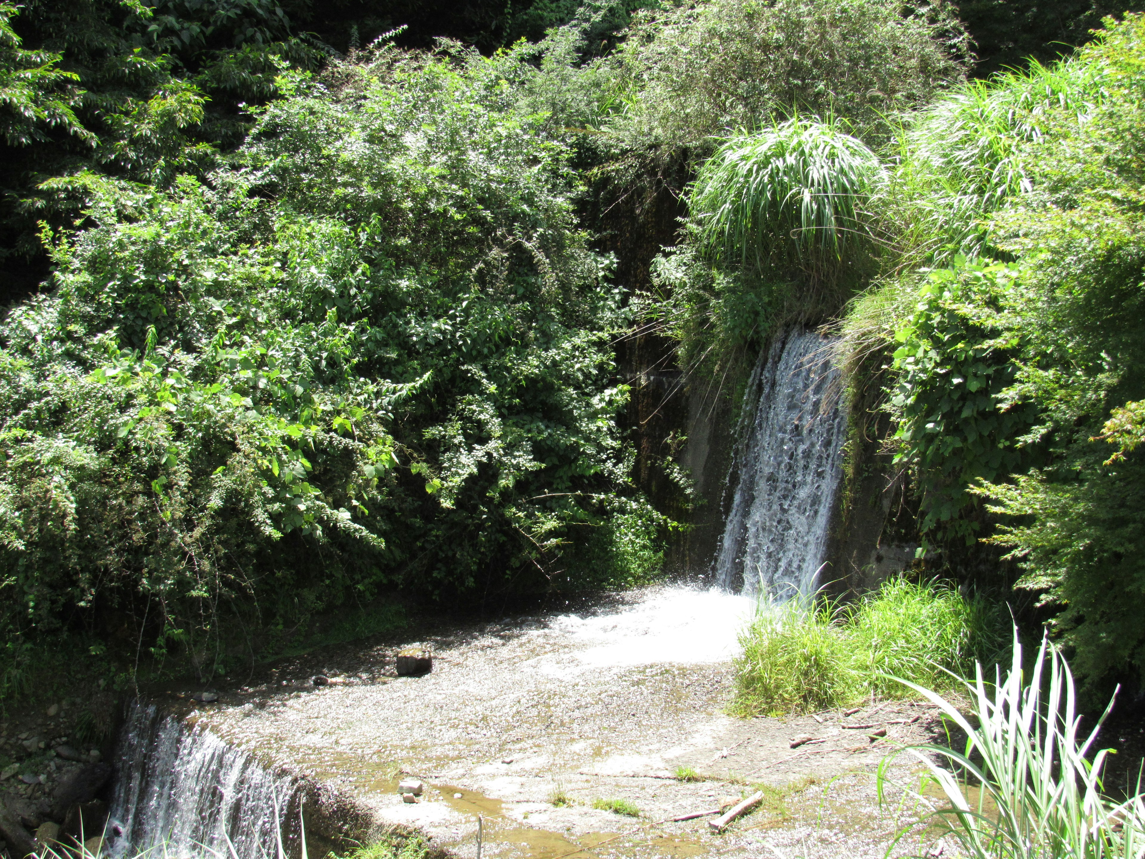 Scenic view of a small waterfall surrounded by lush greenery