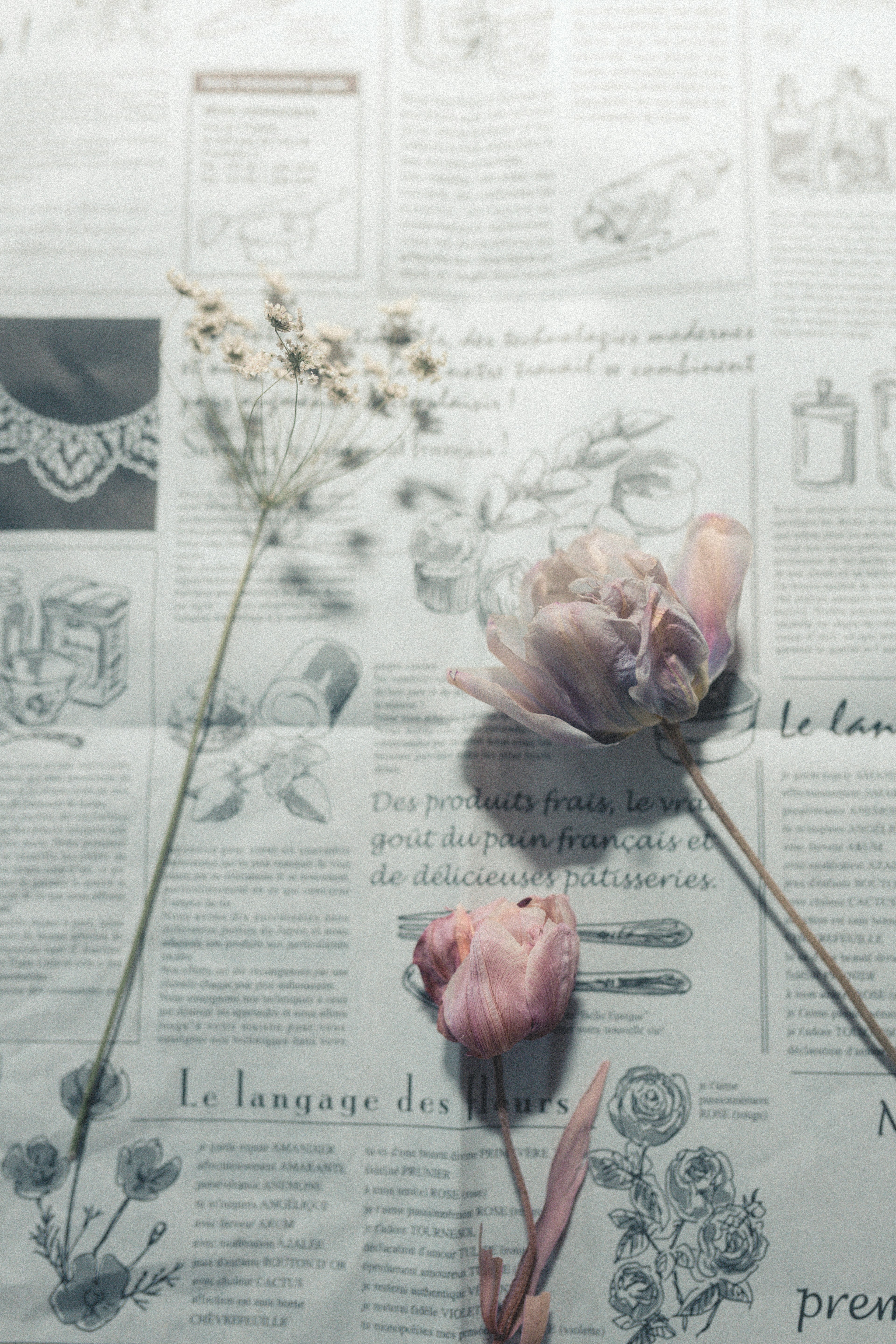 Still life of flowers and plants on newspaper