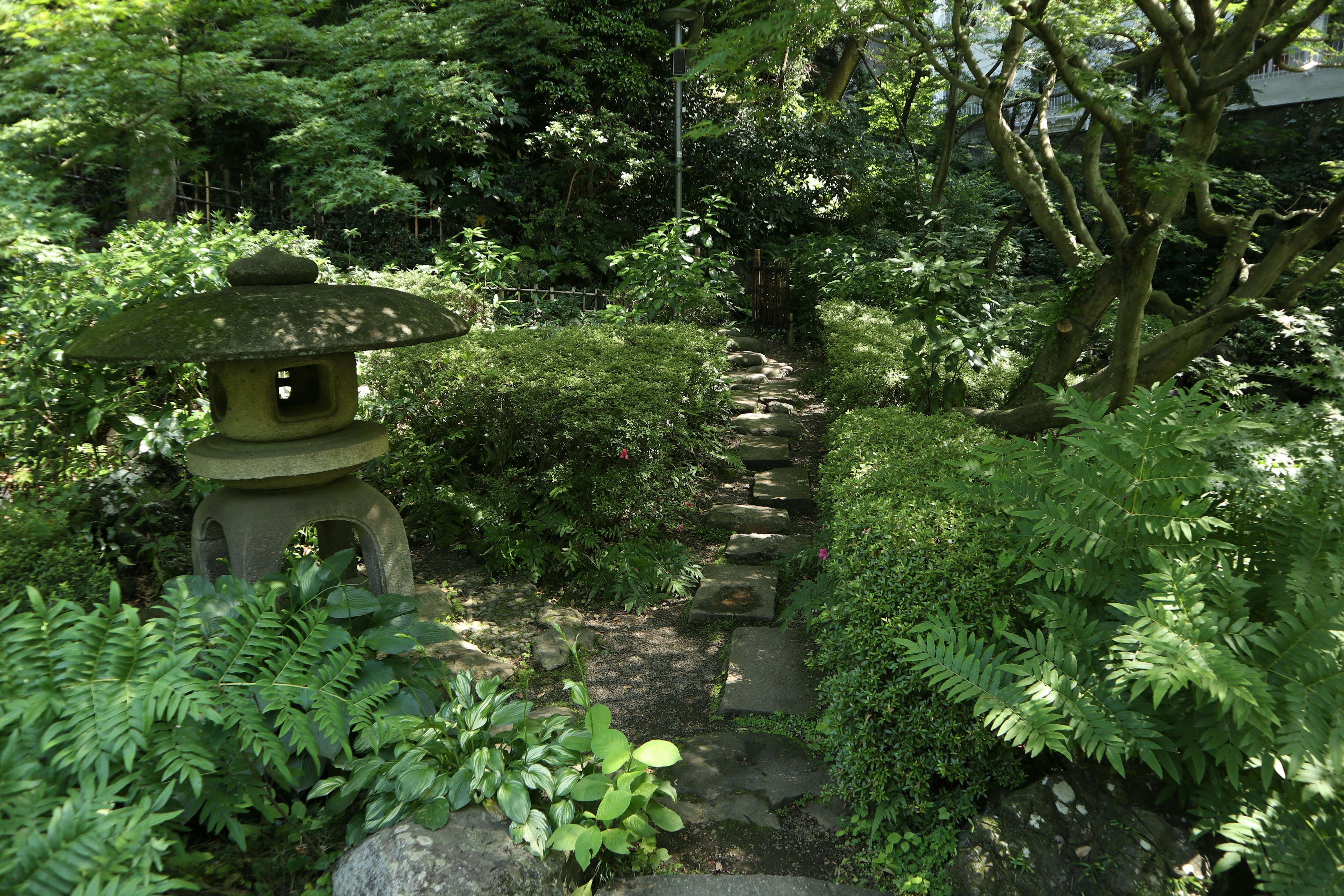 Japanese garden path featuring a stone lantern and lush greenery