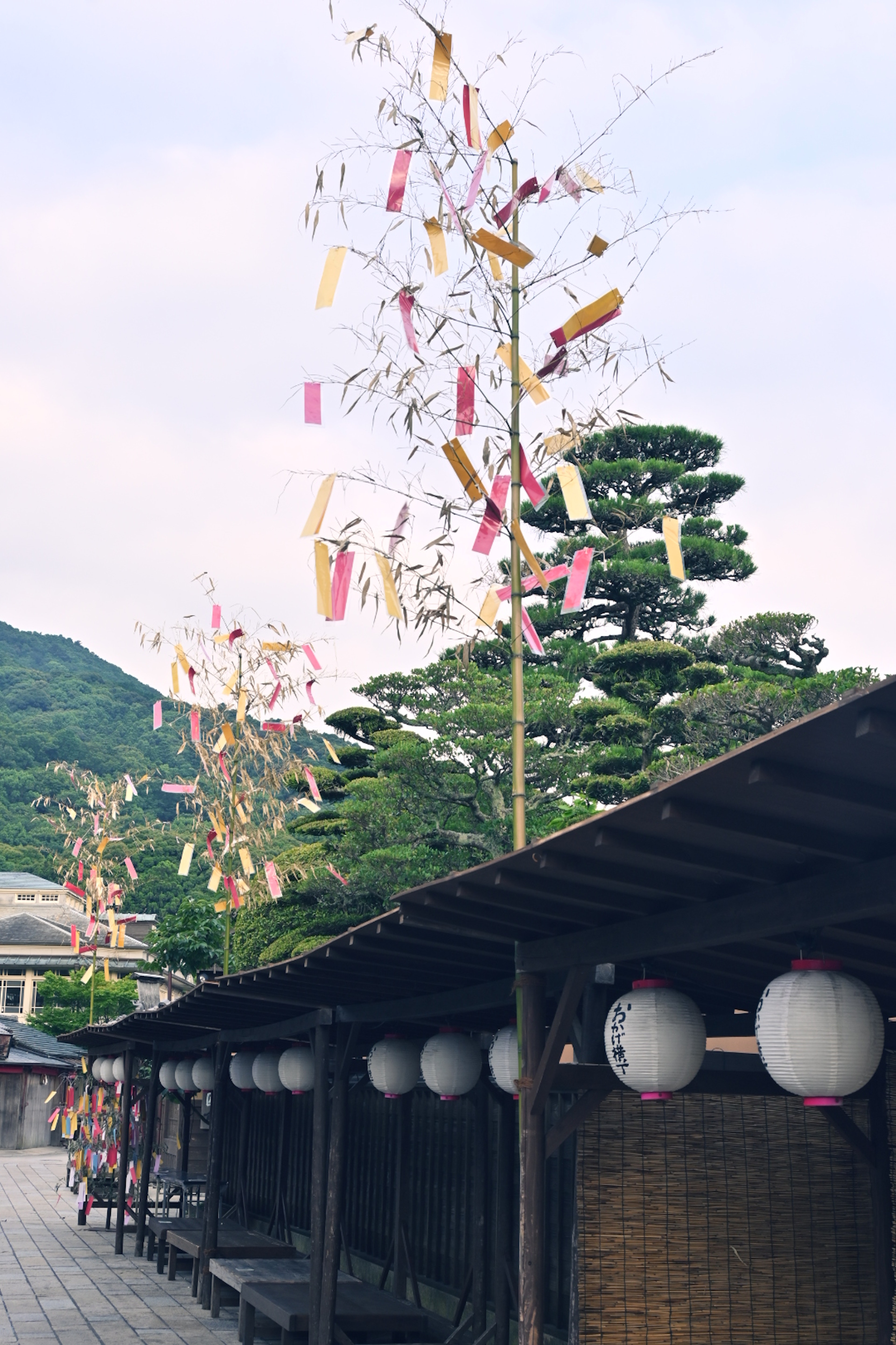 一个景观，竹枝装饰着五彩的条带和风铃