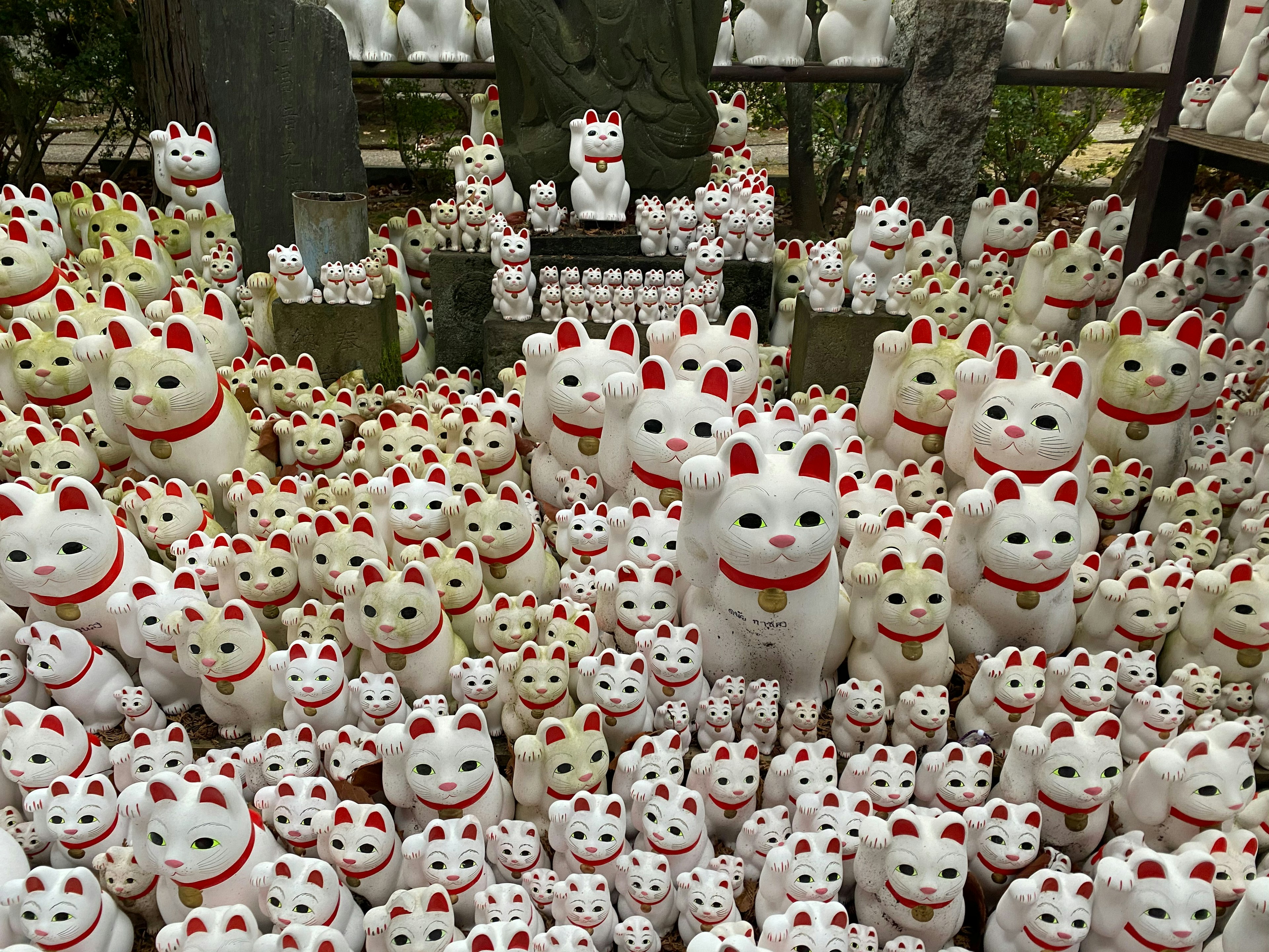 Sejumlah besar patung maneki-neko putih dengan aksen merah