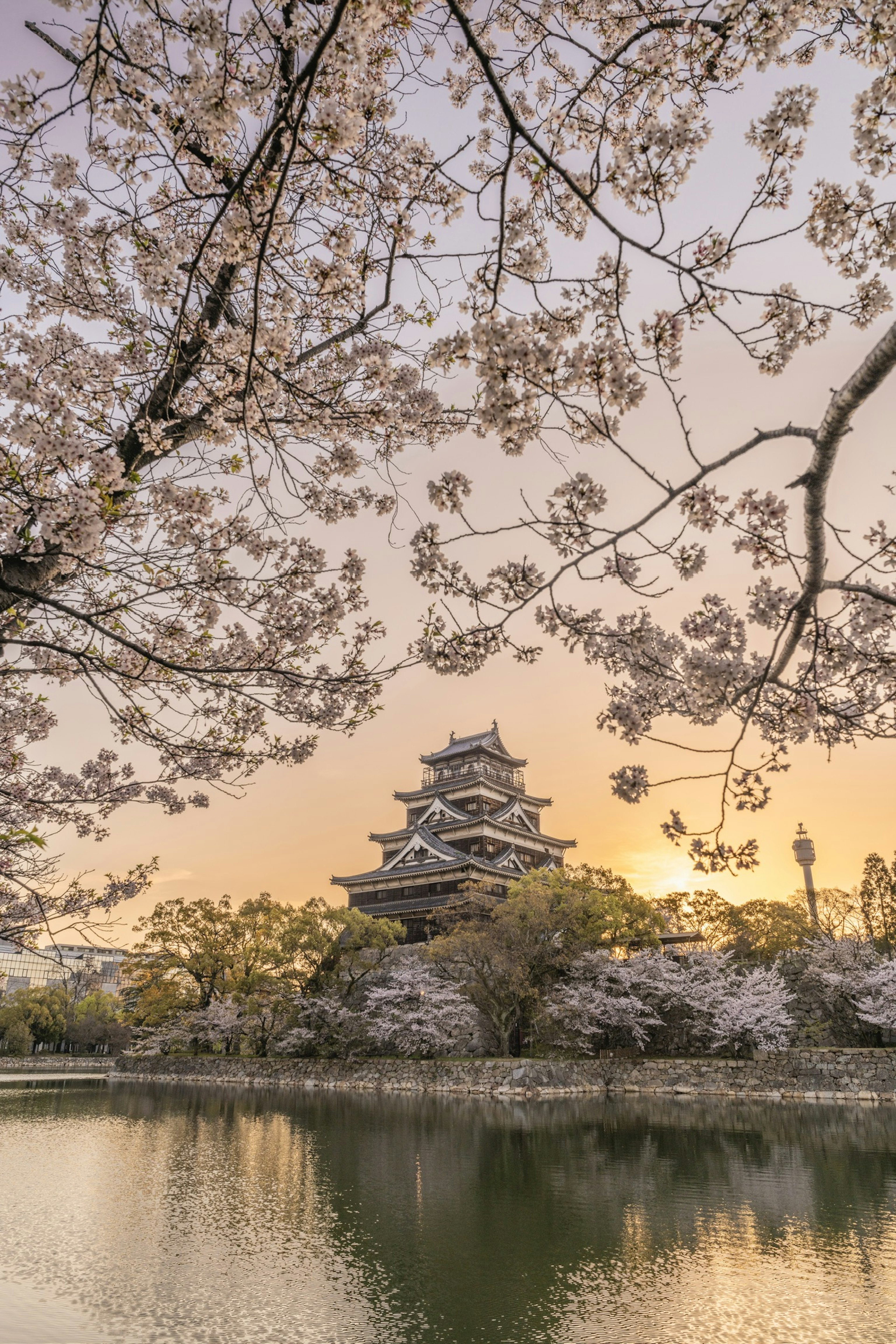 Château japonais traditionnel entouré de cerisiers au bord d'un étang serein