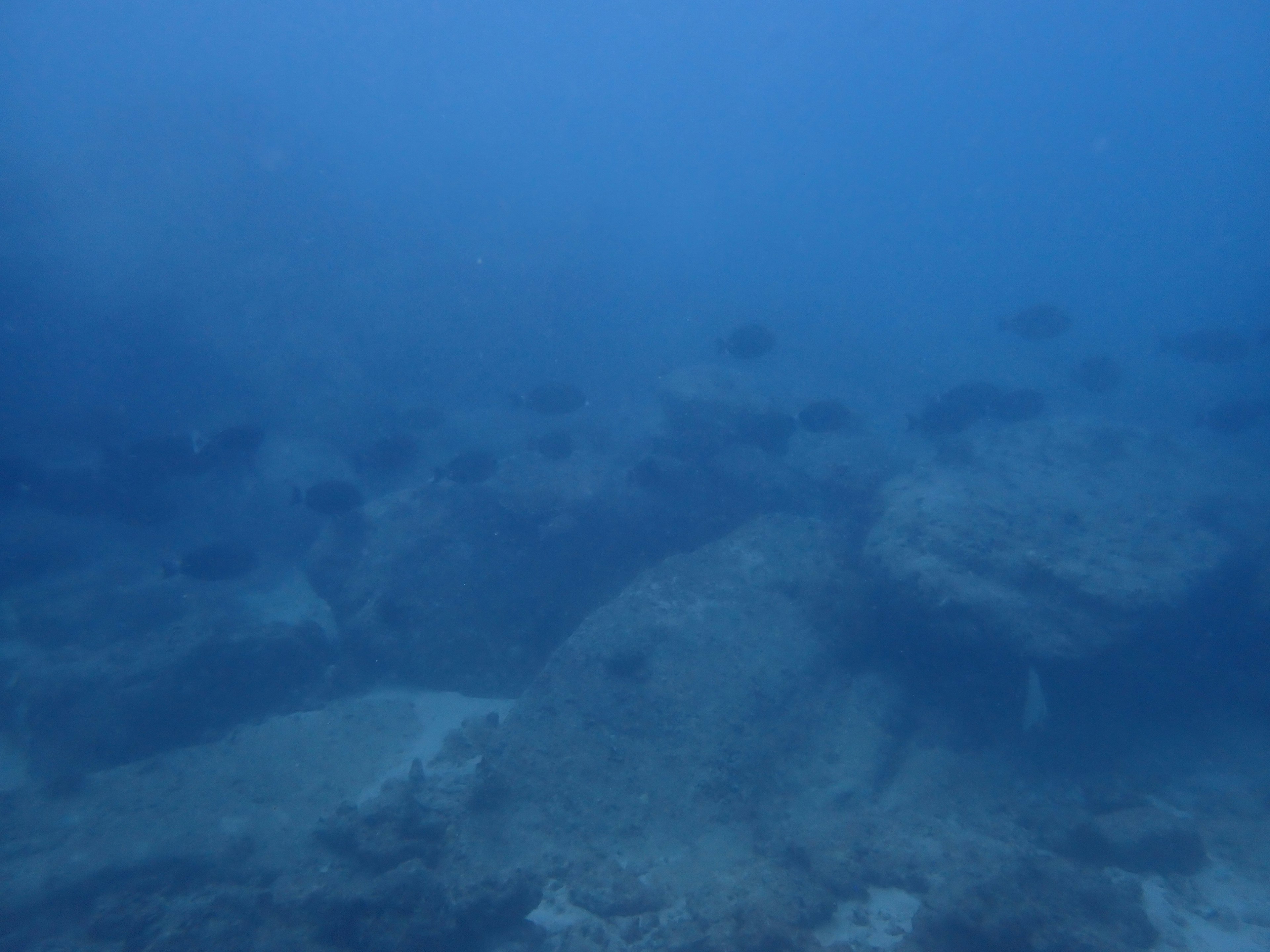 Underwater scene featuring large rocks and blue hues