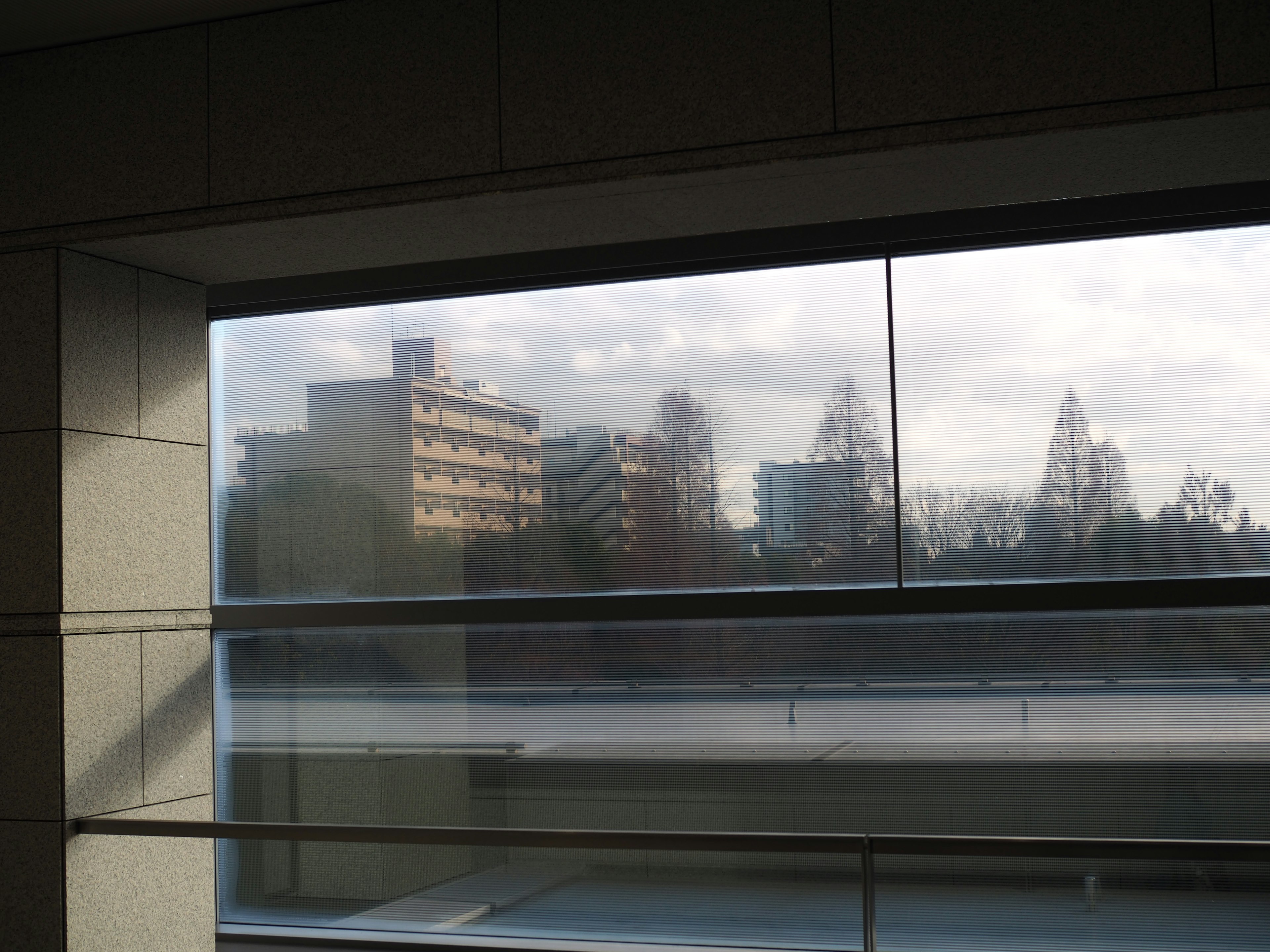 Stadtansicht durch ein Fenster mit Gebäudesilhouetten