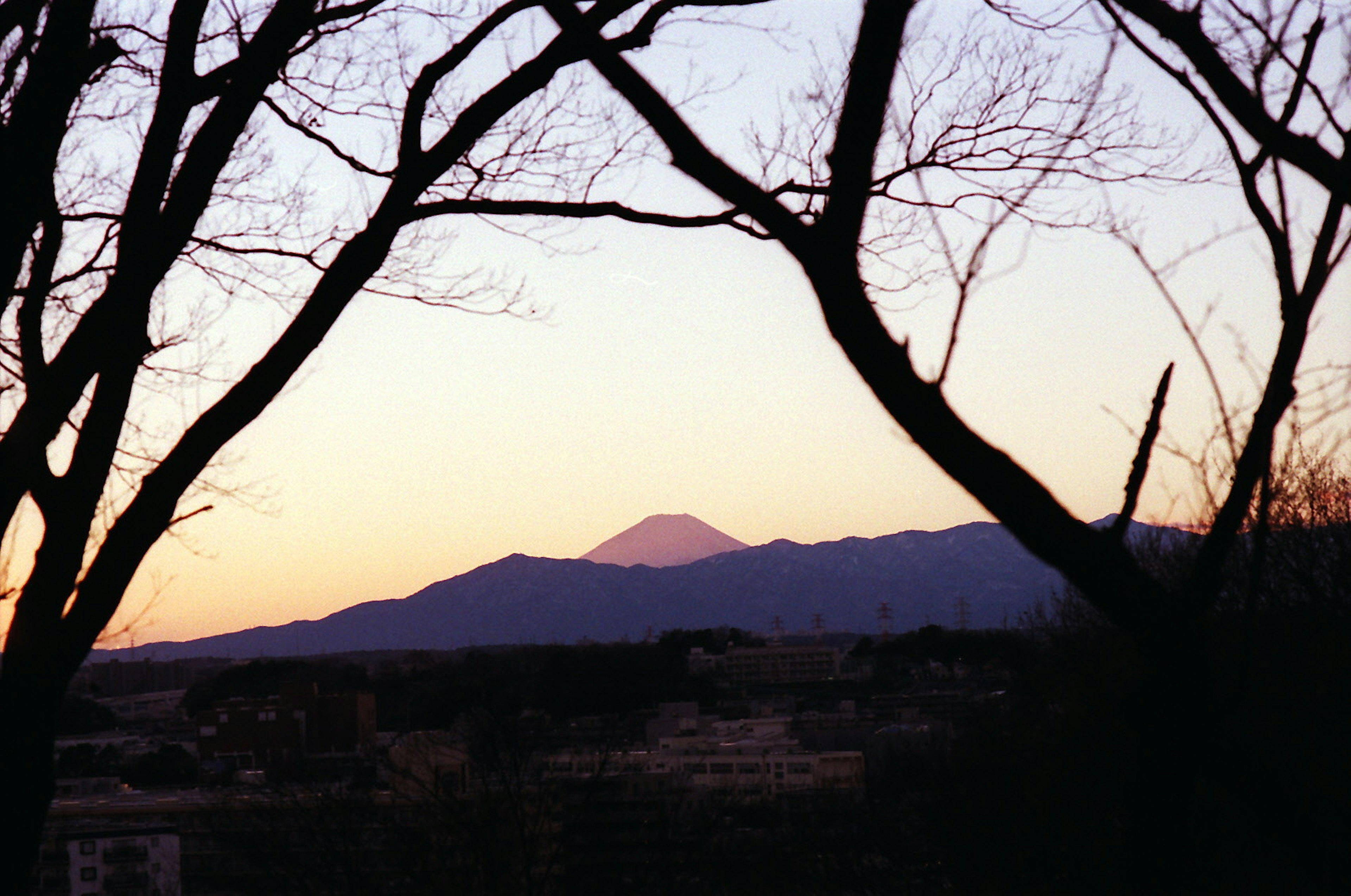 Silhouette of Mount Fuji at dusk framed by bare trees