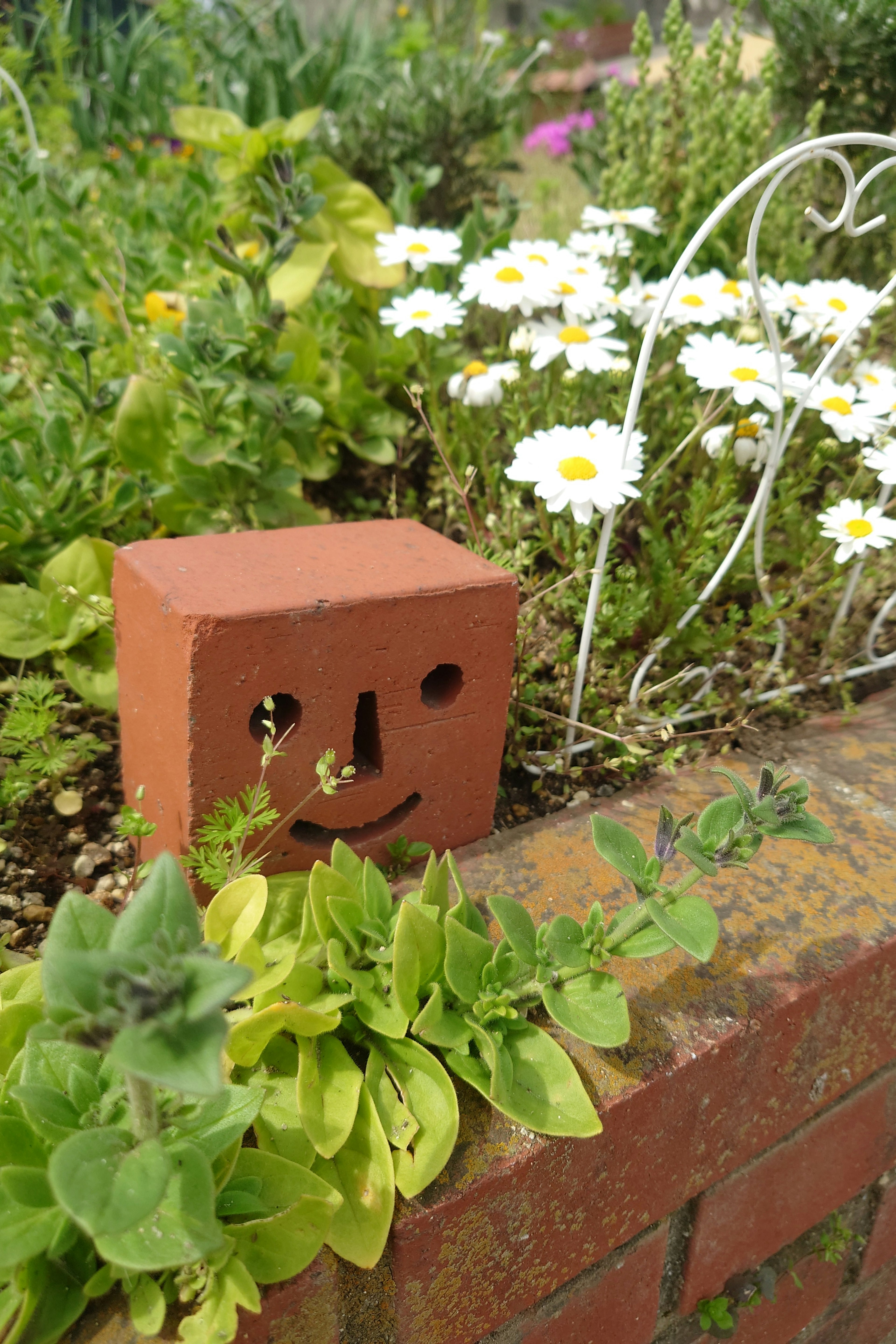 A smiling brick placed in a flower garden