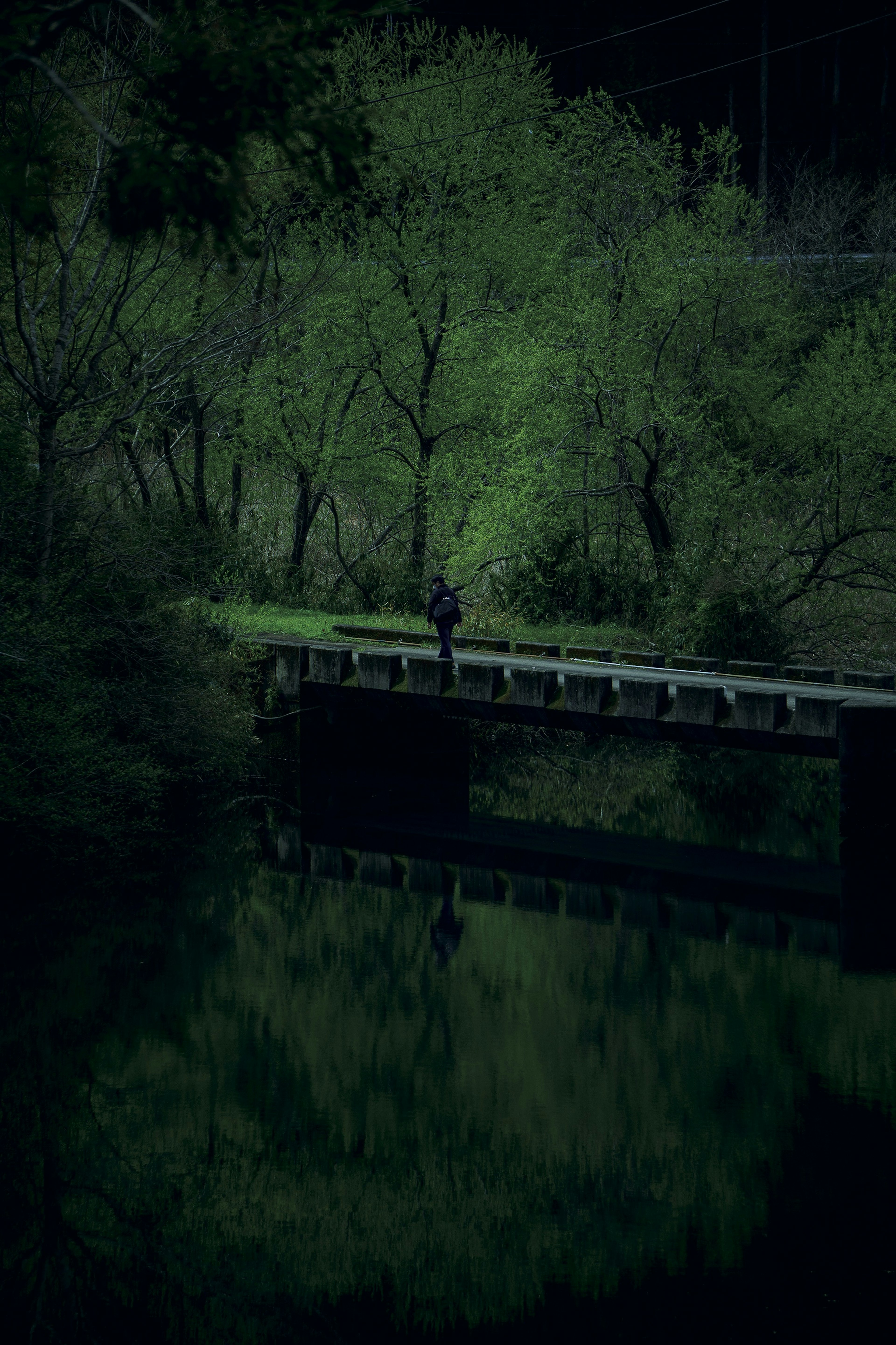 Una persona de pie en un puente rodeado de árboles verdes con su reflejo visible en el agua