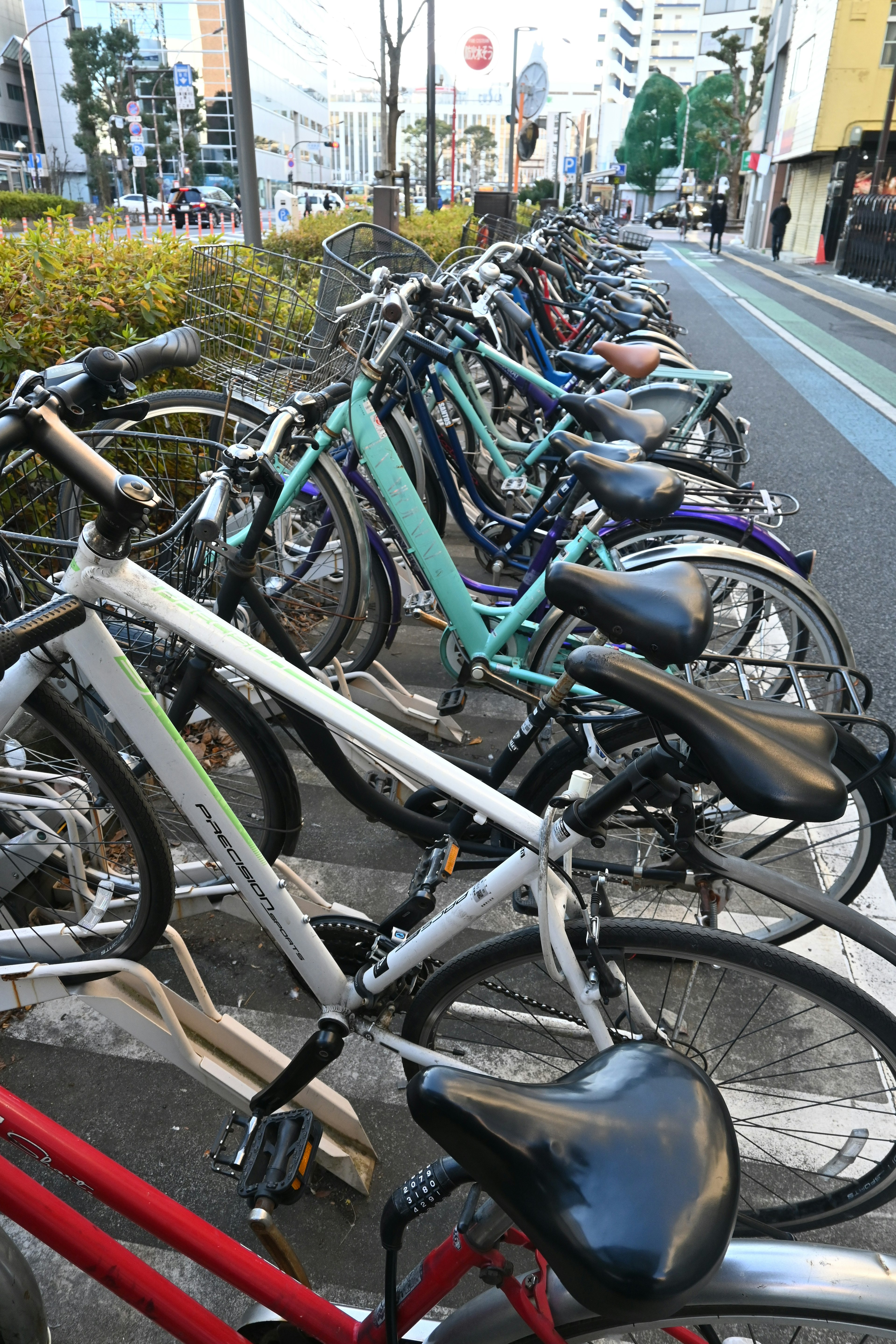 Reihe von Fahrrädern, die entlang einer Stadtstraße geparkt sind