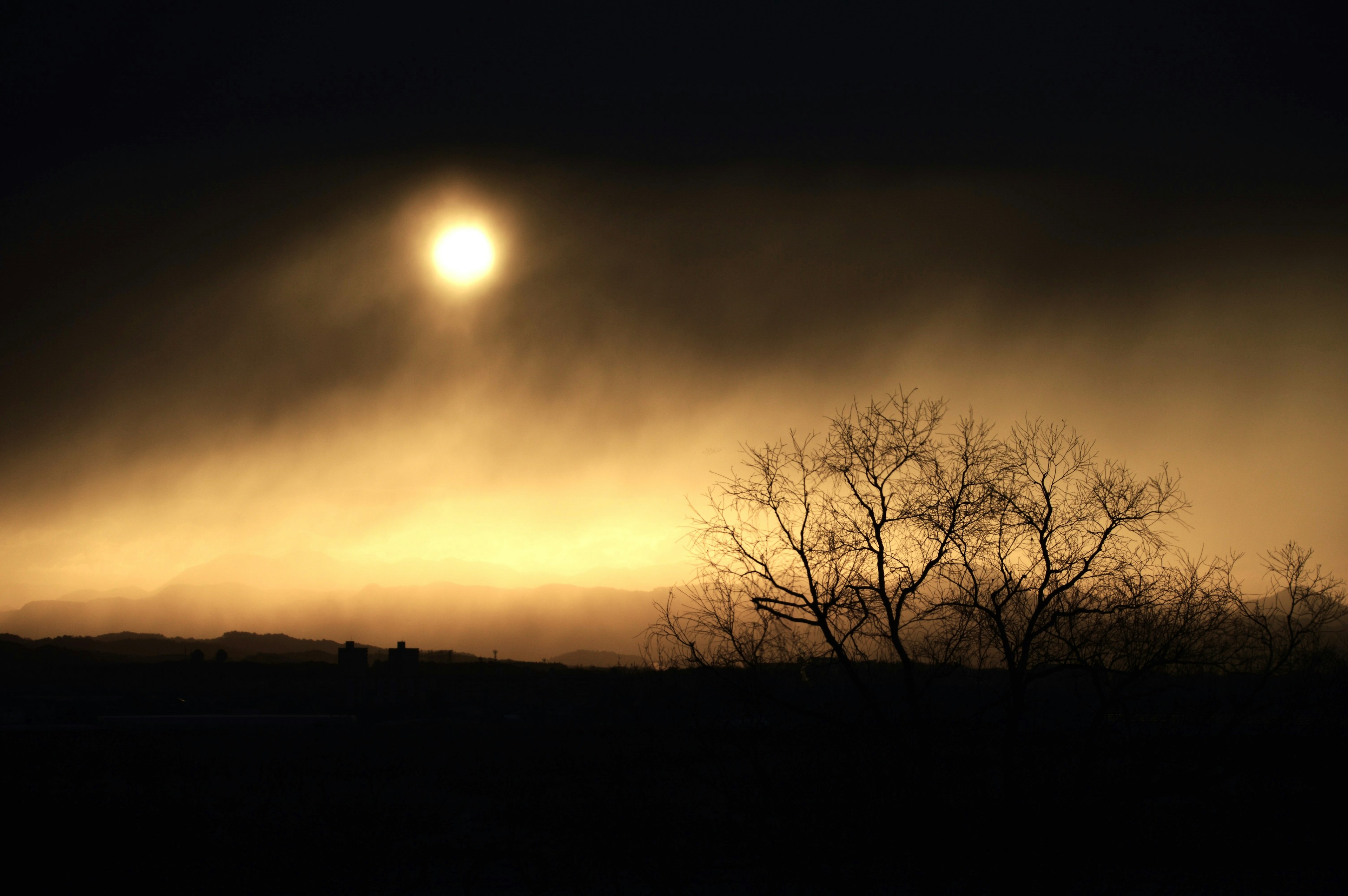 Sole luminoso che sorge sopra un paesaggio scuro con alberi in silhouette