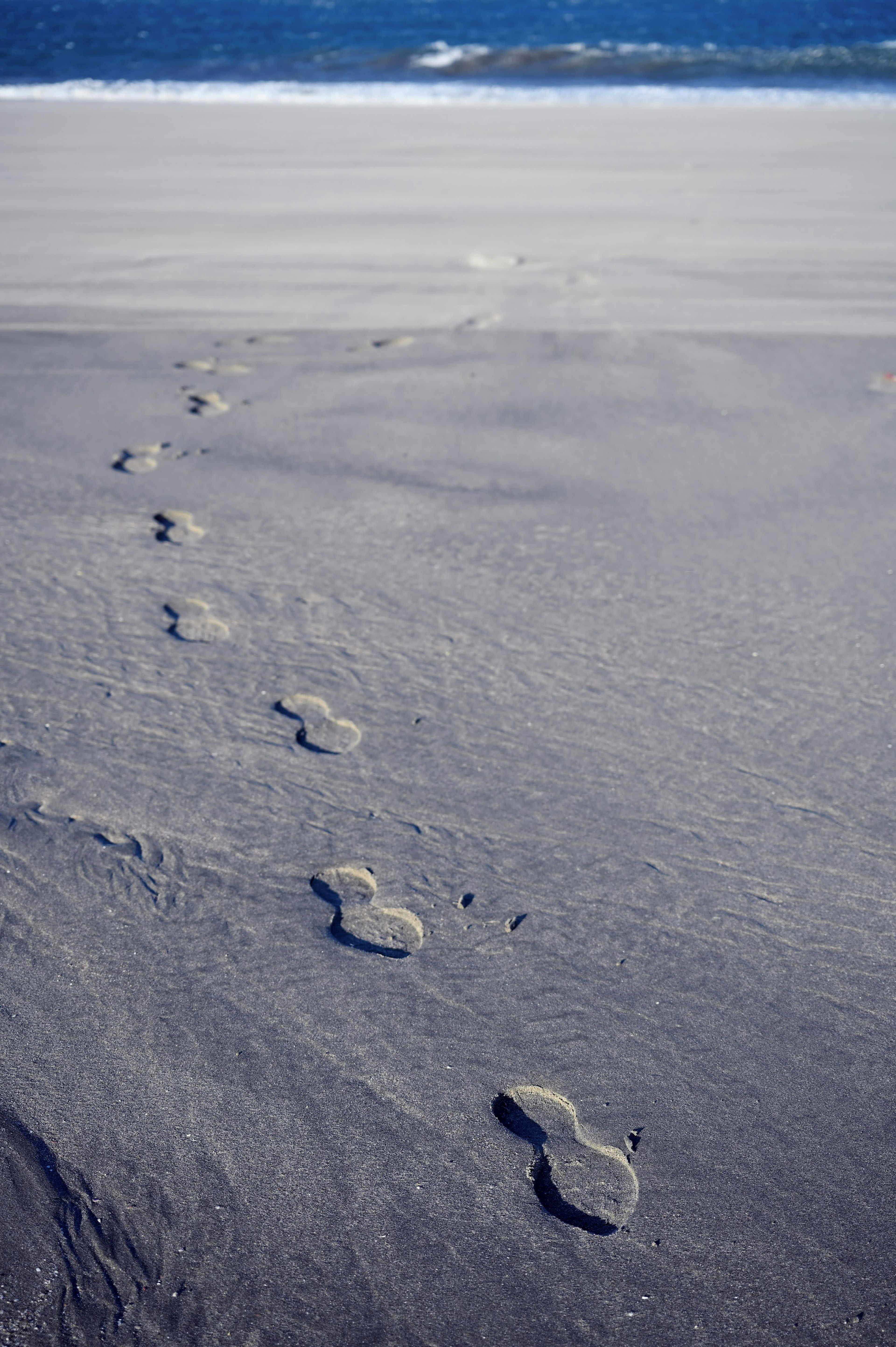 Des empreintes dans le sable menant vers l'océan