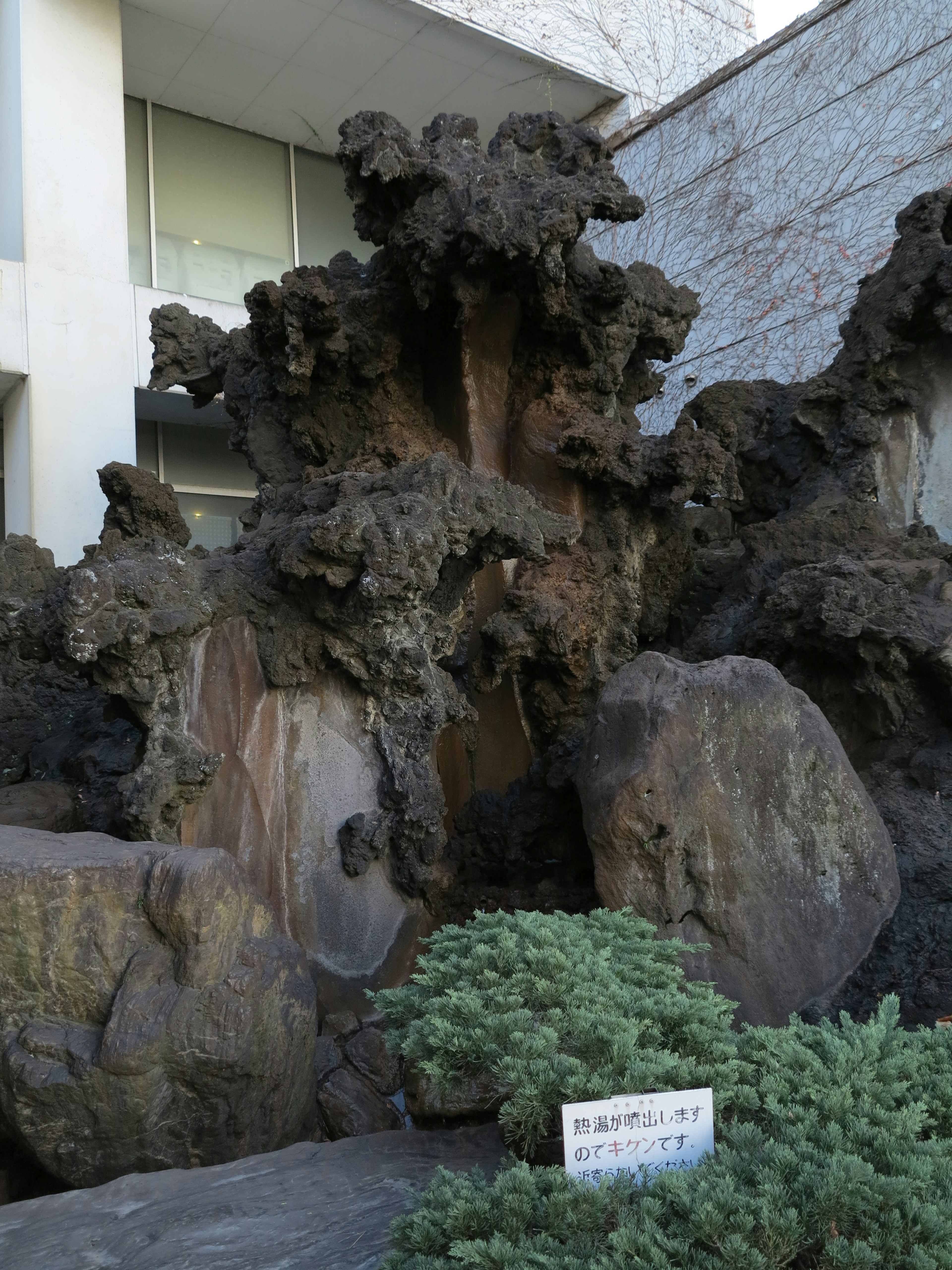 岩石の彫刻と緑の植物が調和する庭の景観