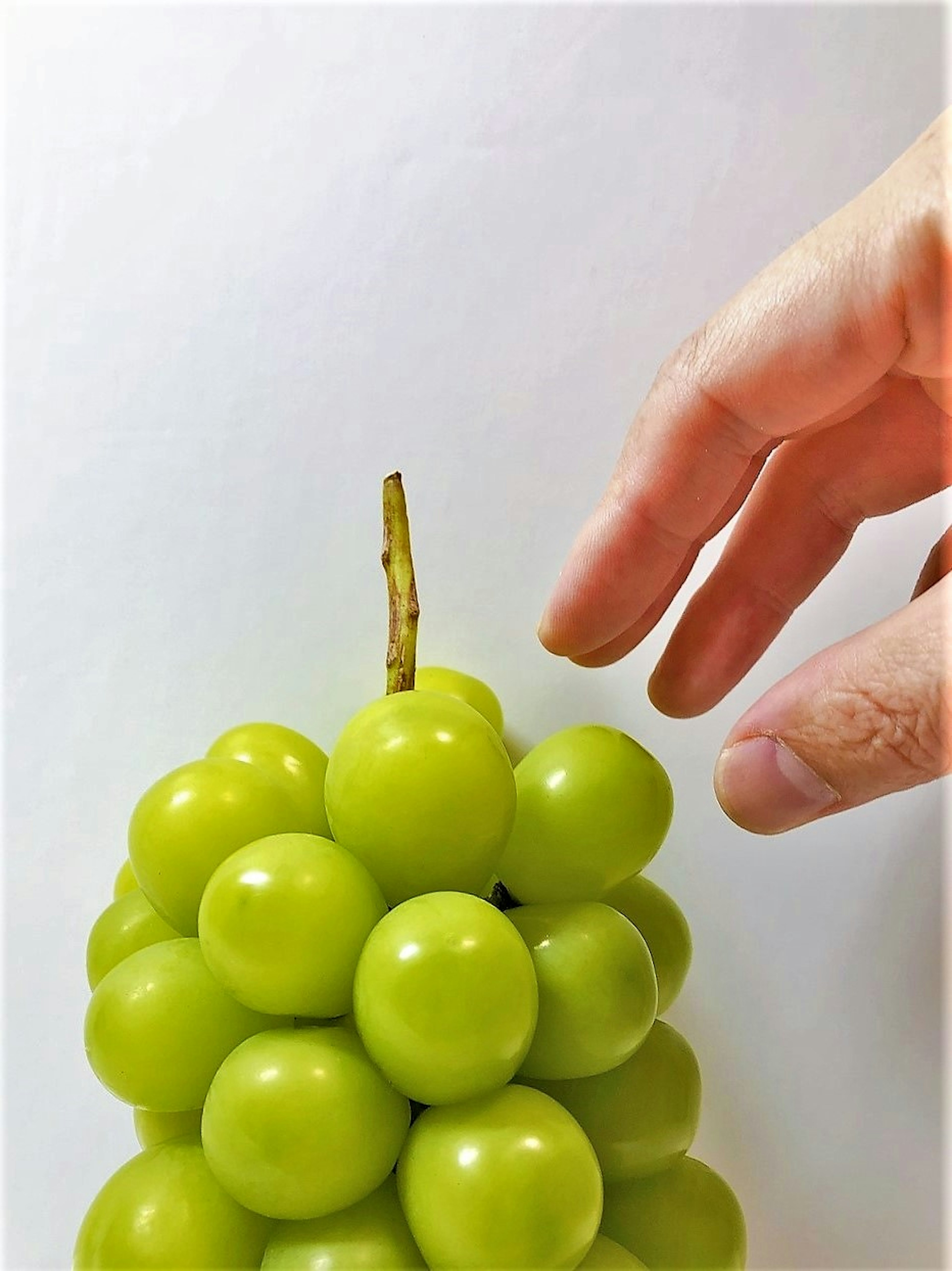 Una mano alcanzando un racimo de uvas verdes