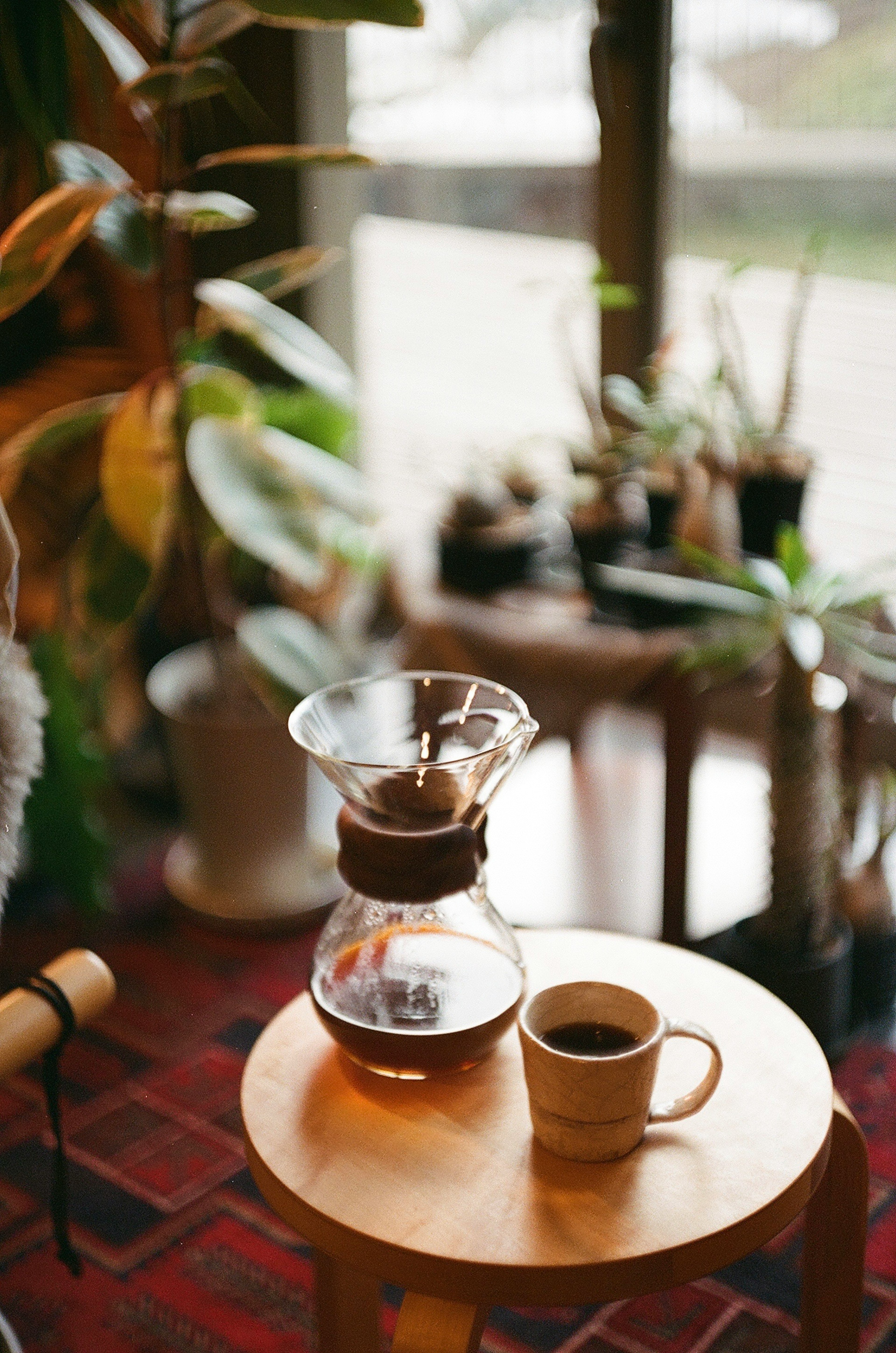 Mesa de madera con equipo de preparación de café y una taza rodeada de plantas