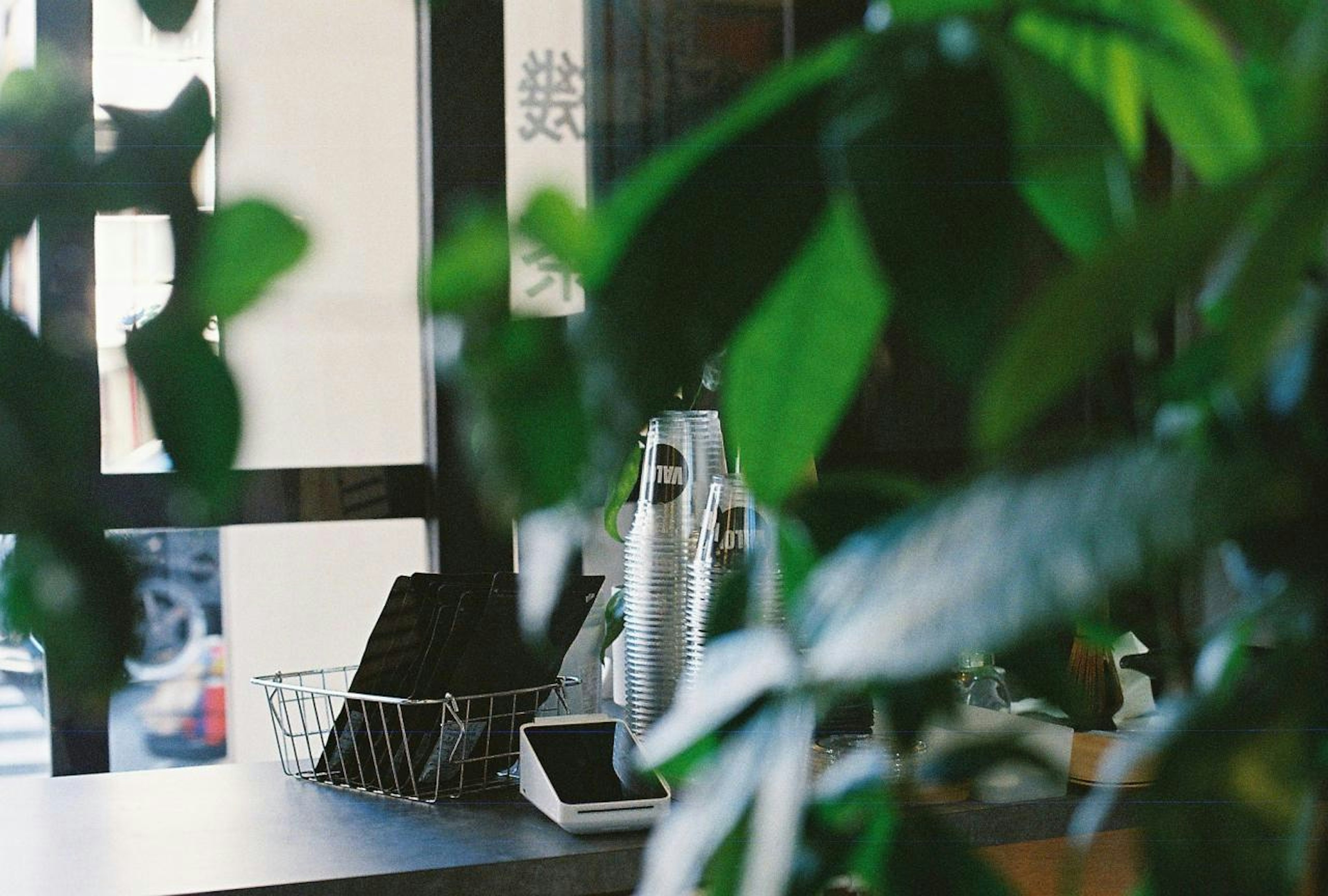 植物に囲まれたカフェのカウンターの景色