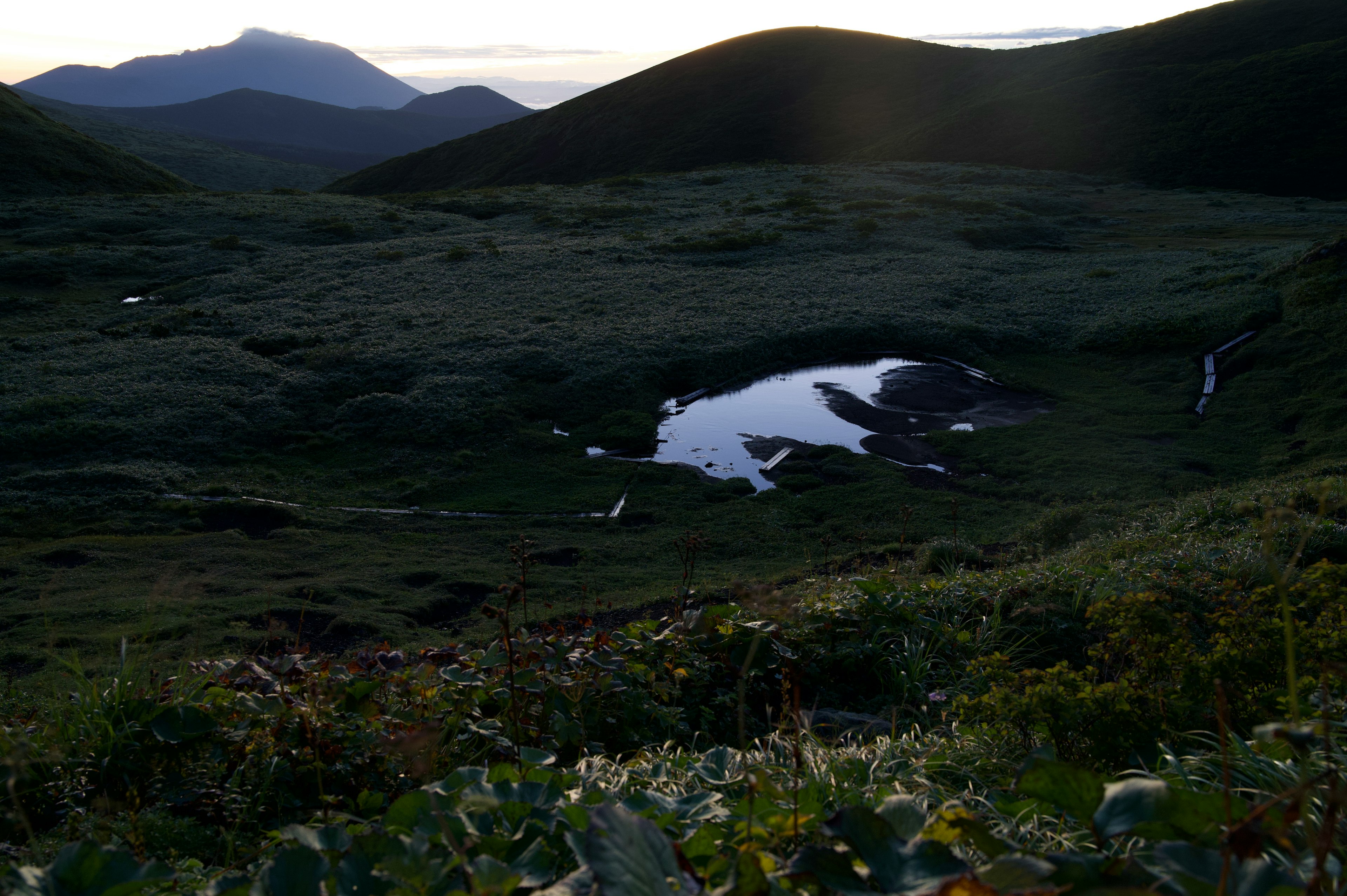 Paesaggio montano con prato verde e piccolo stagno