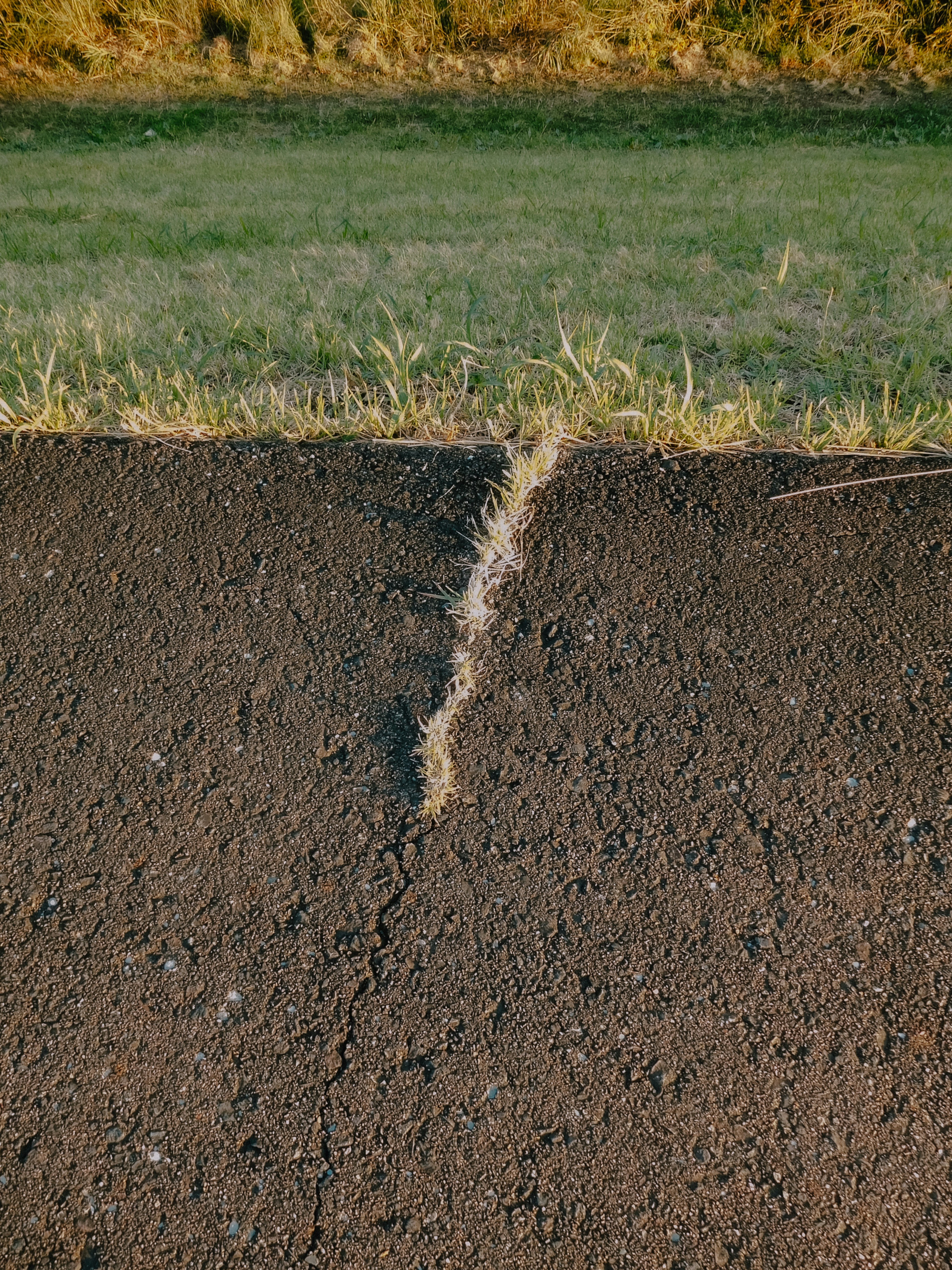 Crack in dry soil with grass field above