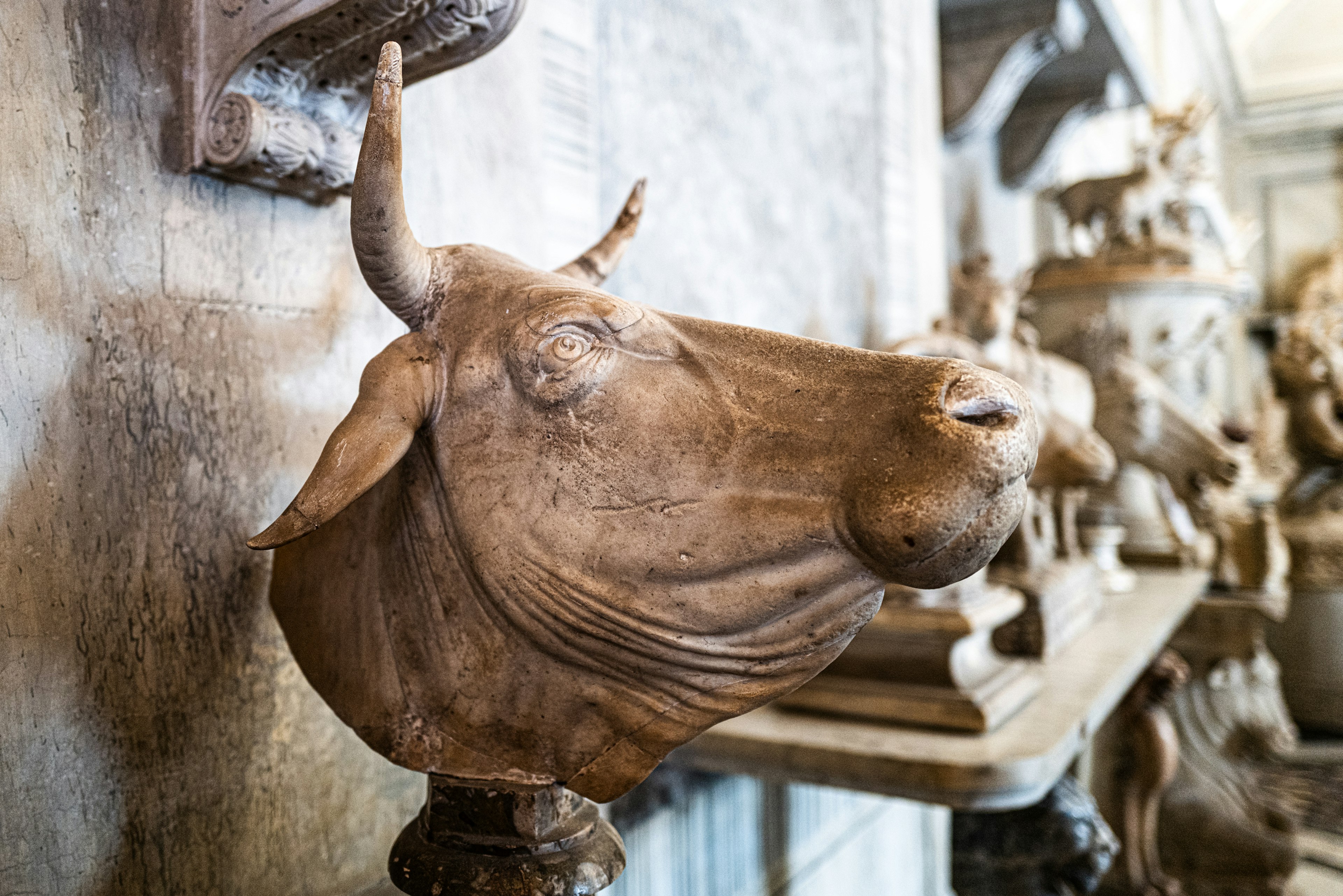 Kepala sapi yang dipahat dipamerkan di museum seni