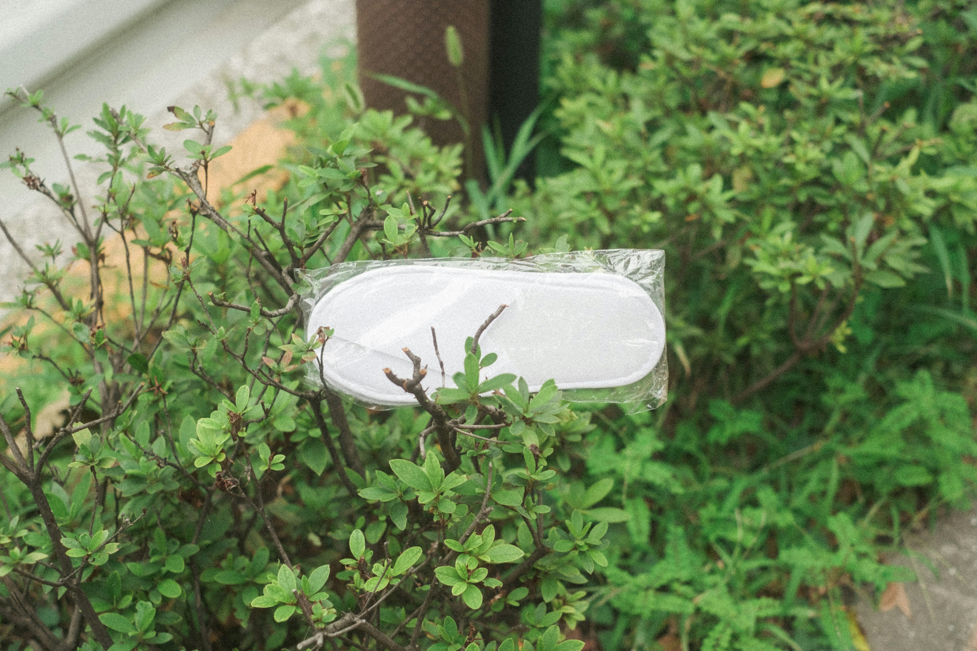 Un objeto blanco parcialmente oculto entre plantas verdes