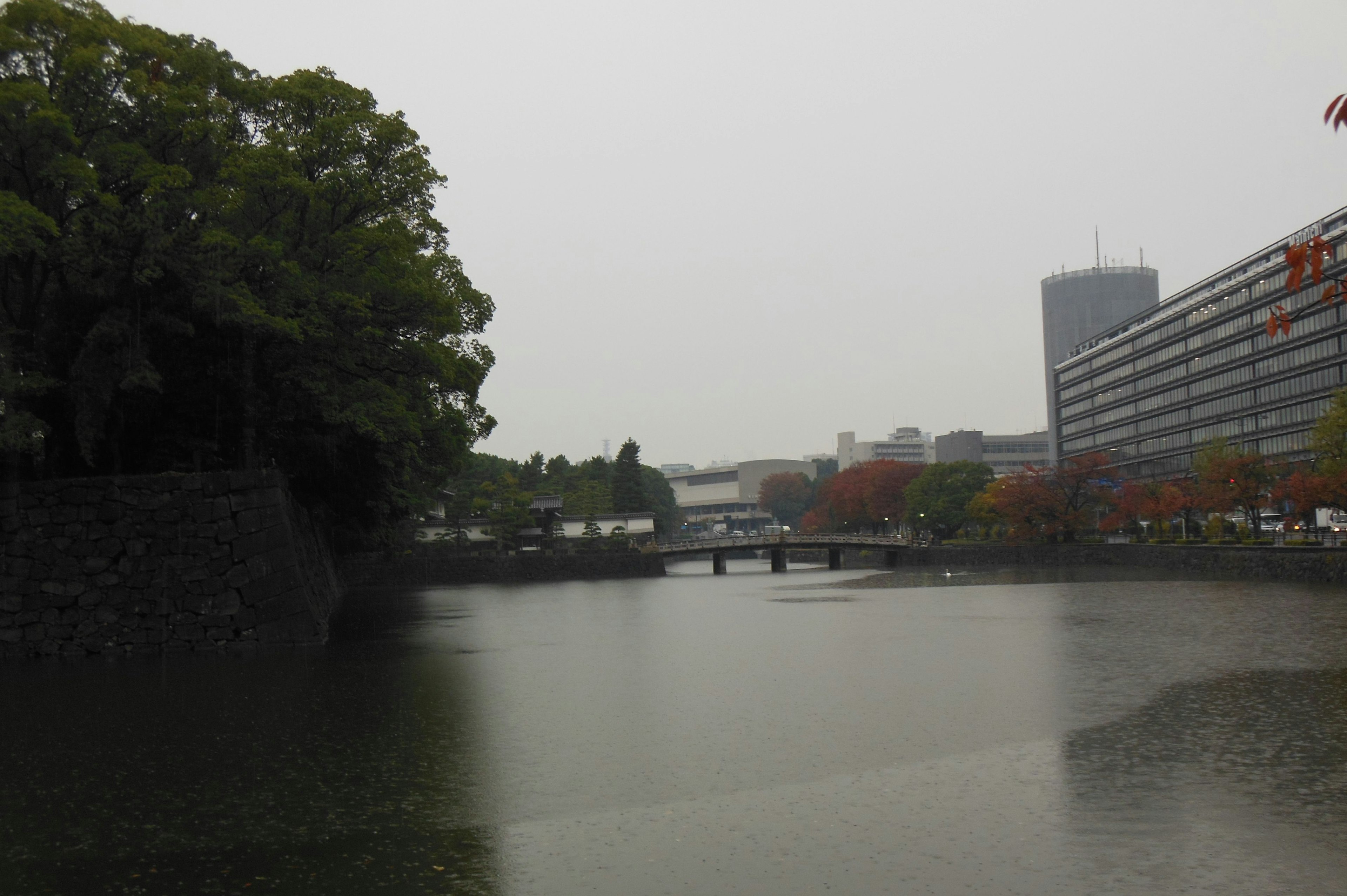 View of a pond and bridge on a cloudy day