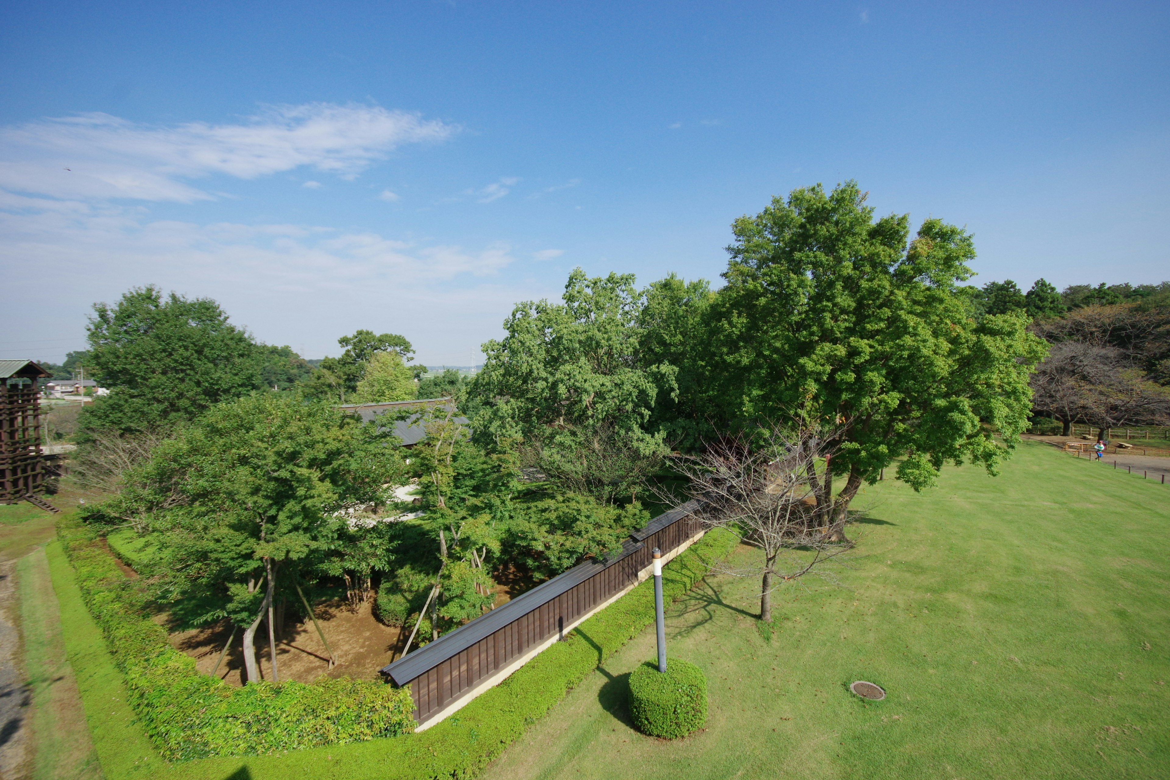 Lush green garden with trees under a clear blue sky