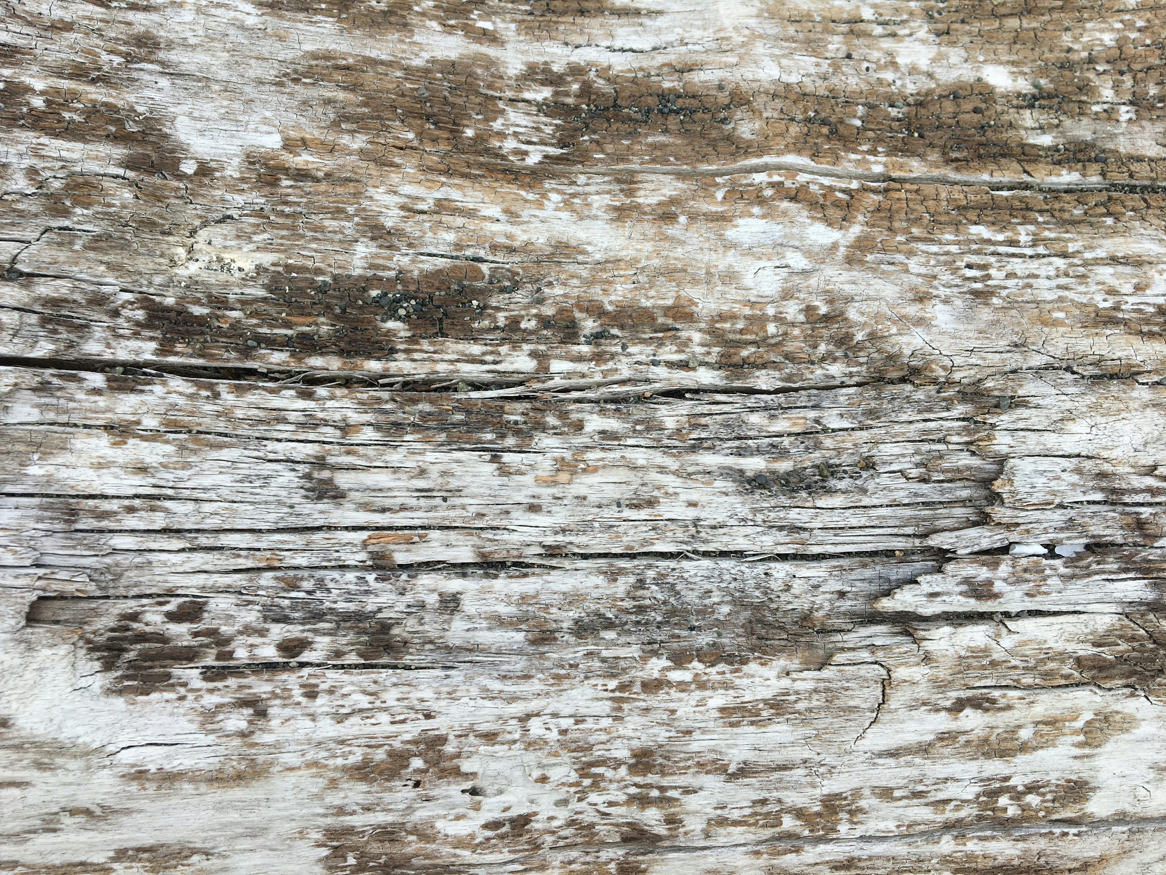 Weathered wood surface with peeling paint and scratches