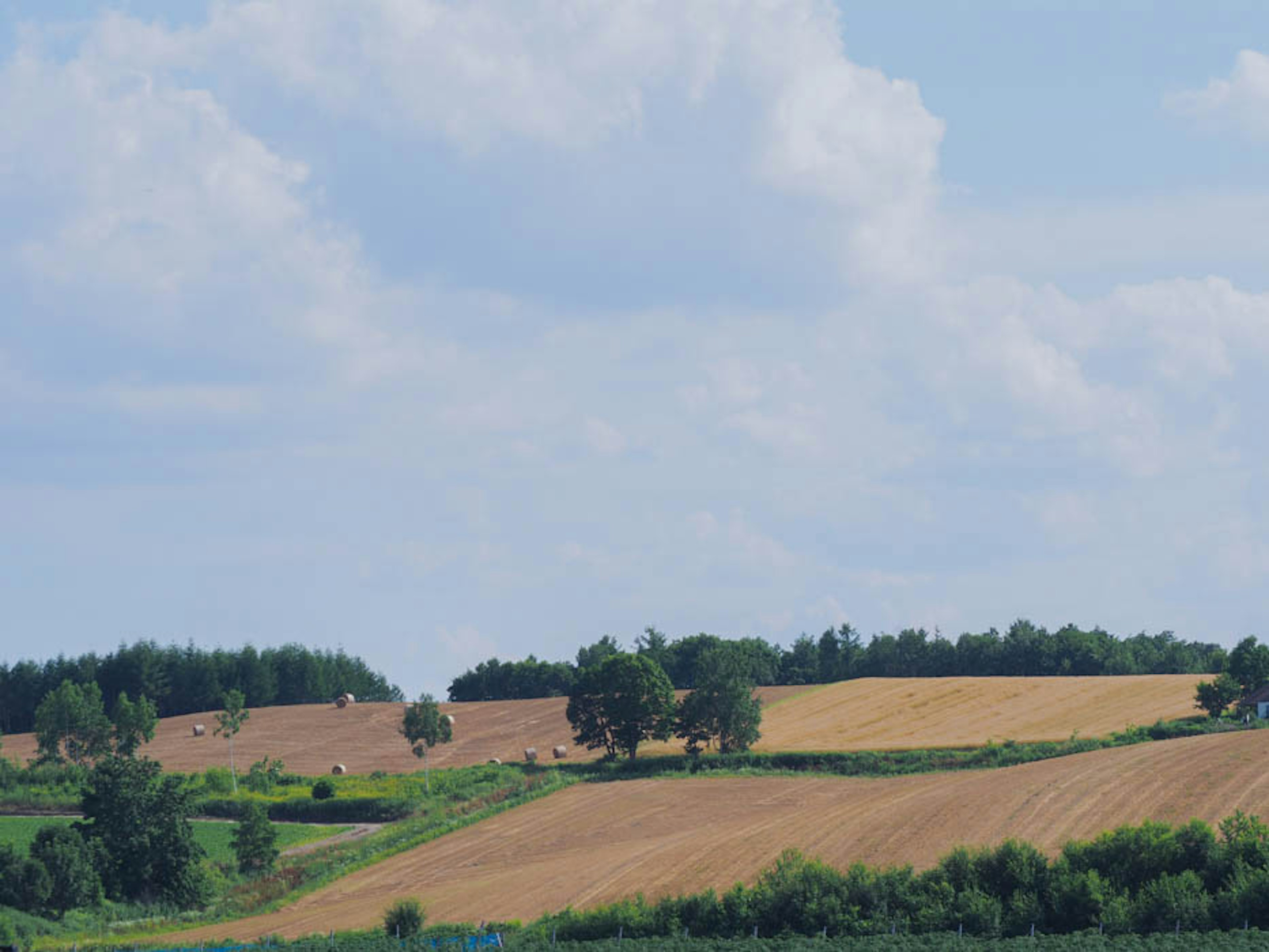 Terreno agricolo verde e marrone sotto un cielo blu con nuvole bianche