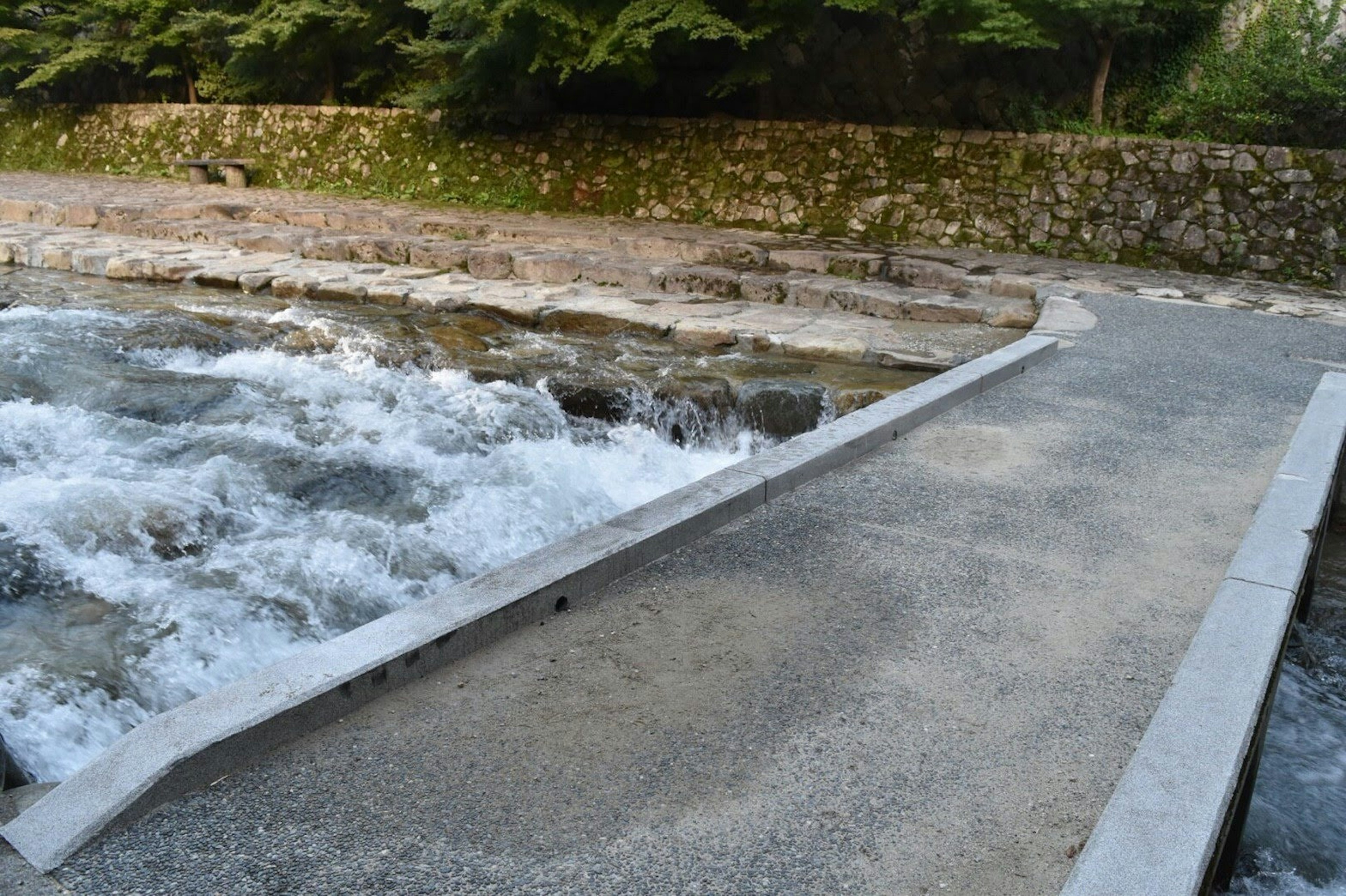 川の流れに沿ったコンクリートの歩道が見える風景