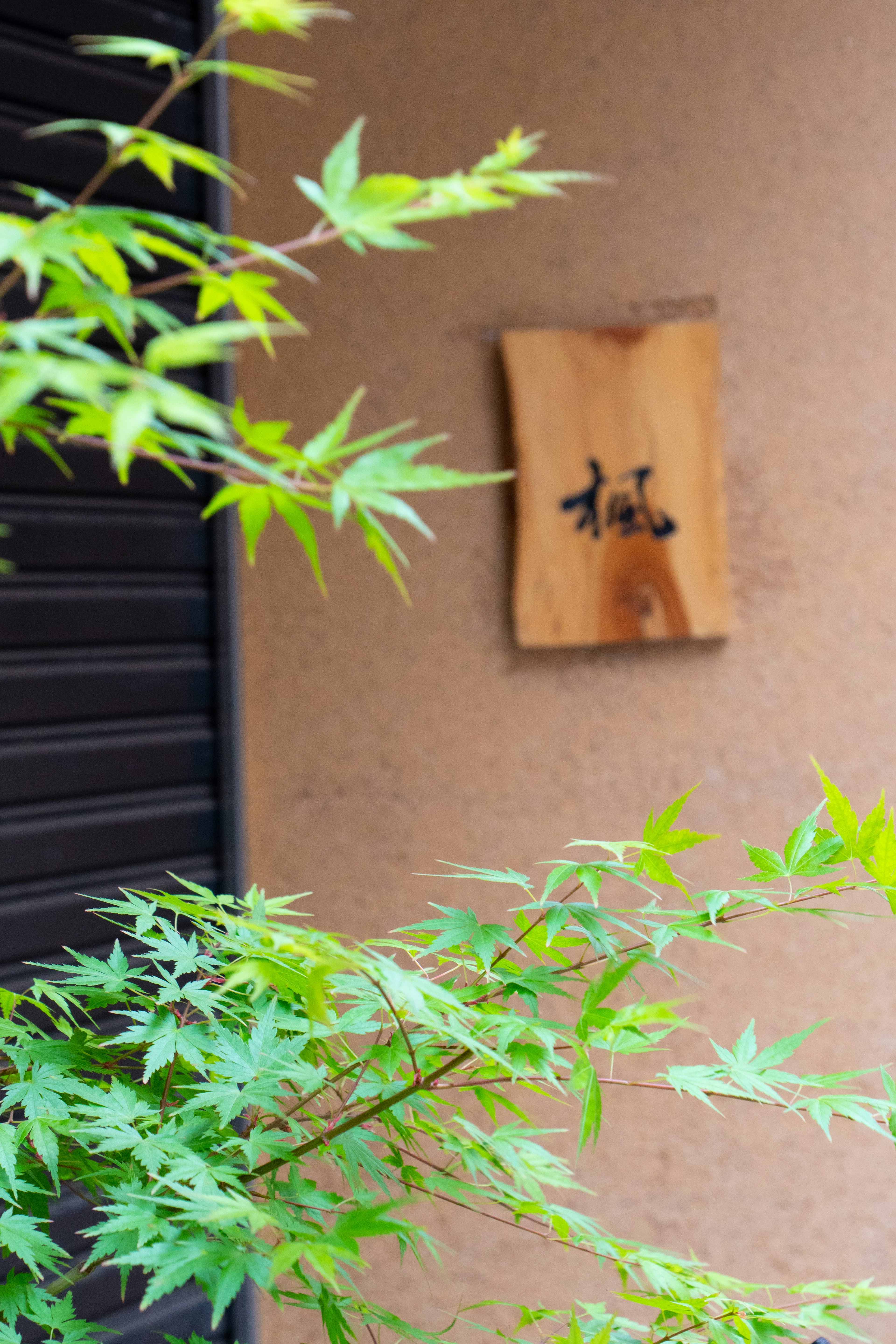 Wooden sign surrounded by green leaves in a traditional Japanese setting