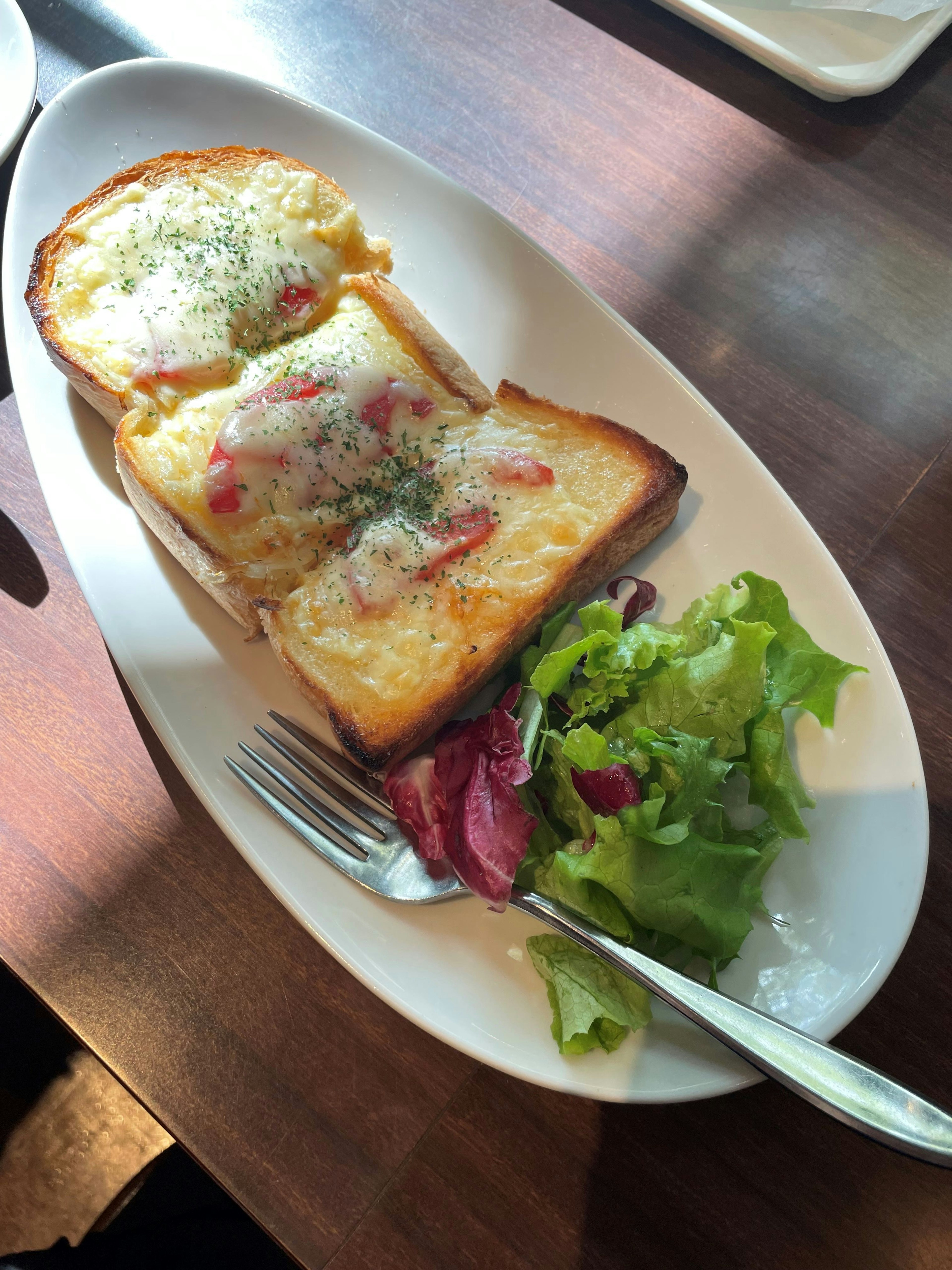 Sándwich tostado de queso y tomate servido con ensalada