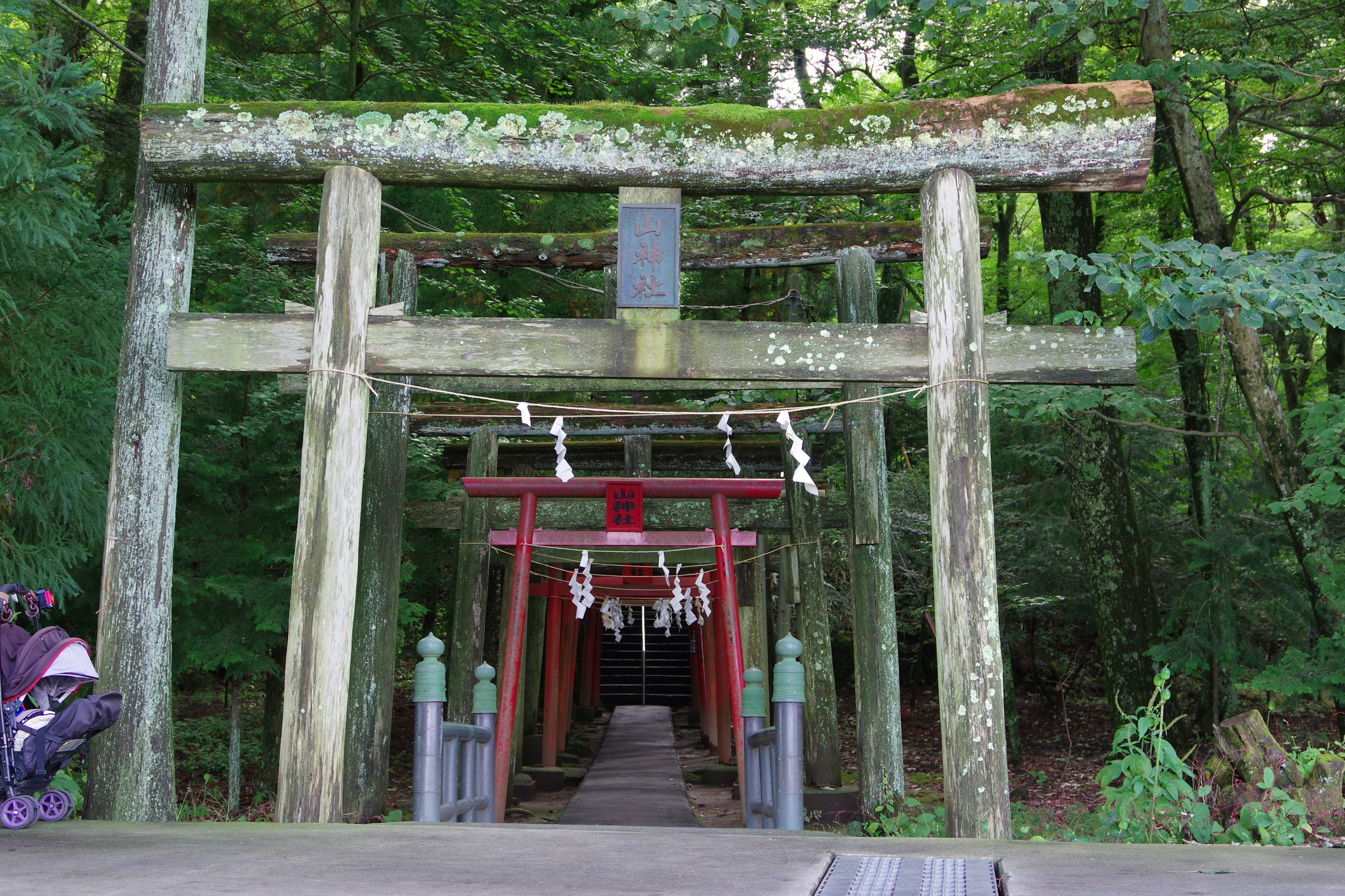 被郁郁葱葱的绿树环绕的神社入口，木制和红色的鸟居