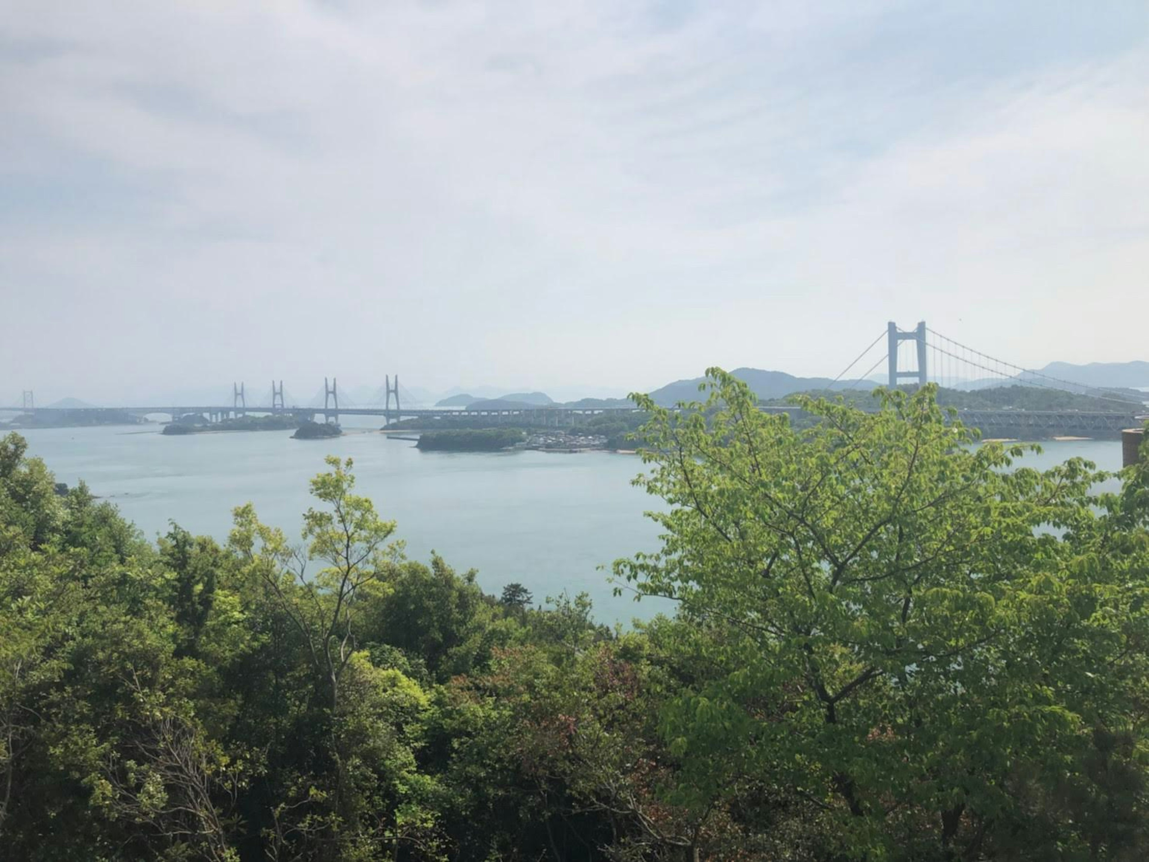 Malereiansicht von grünen Bäumen mit einer Brücke im Hintergrund über ruhigem Wasser