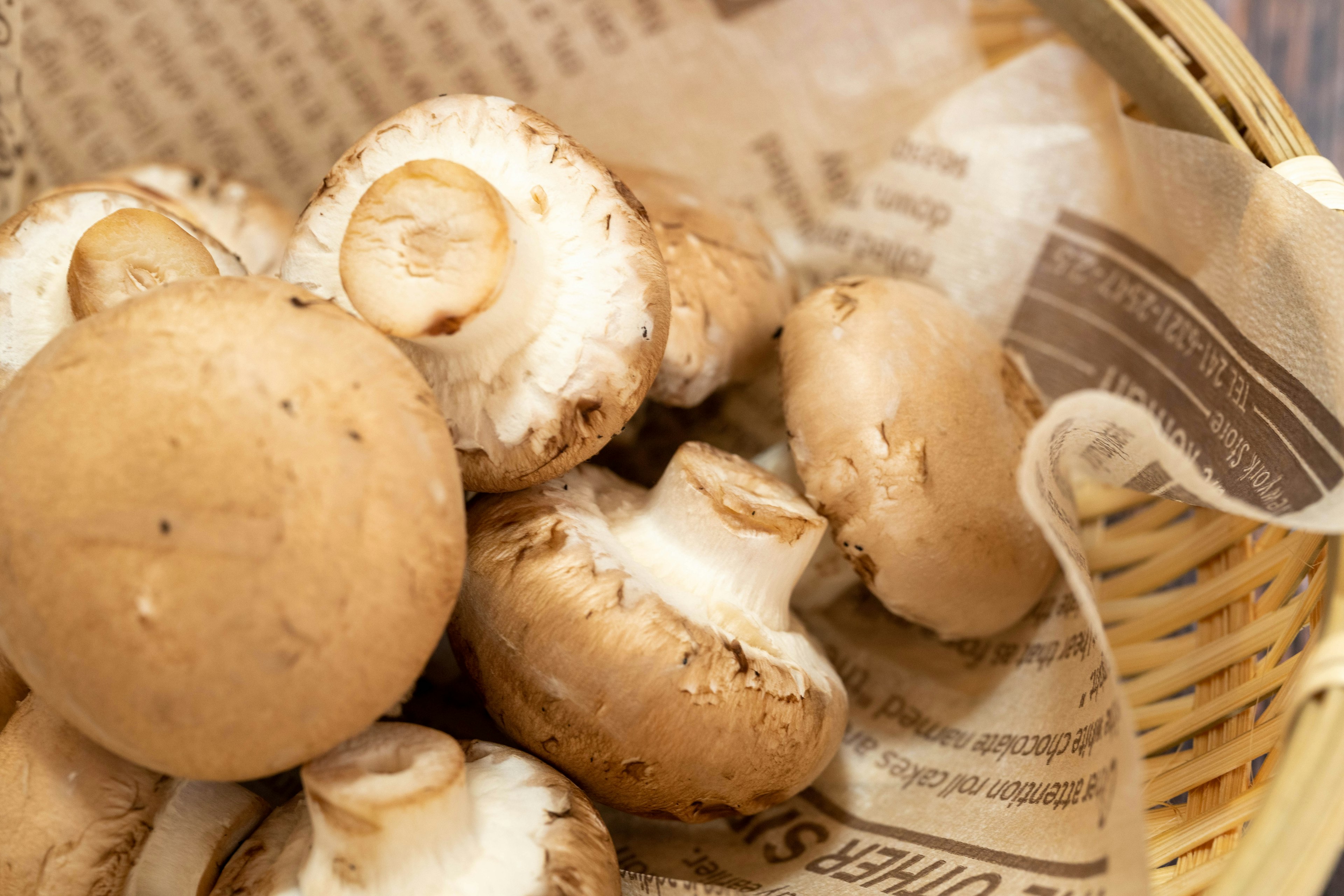 A basket containing several brown mushrooms and newspaper