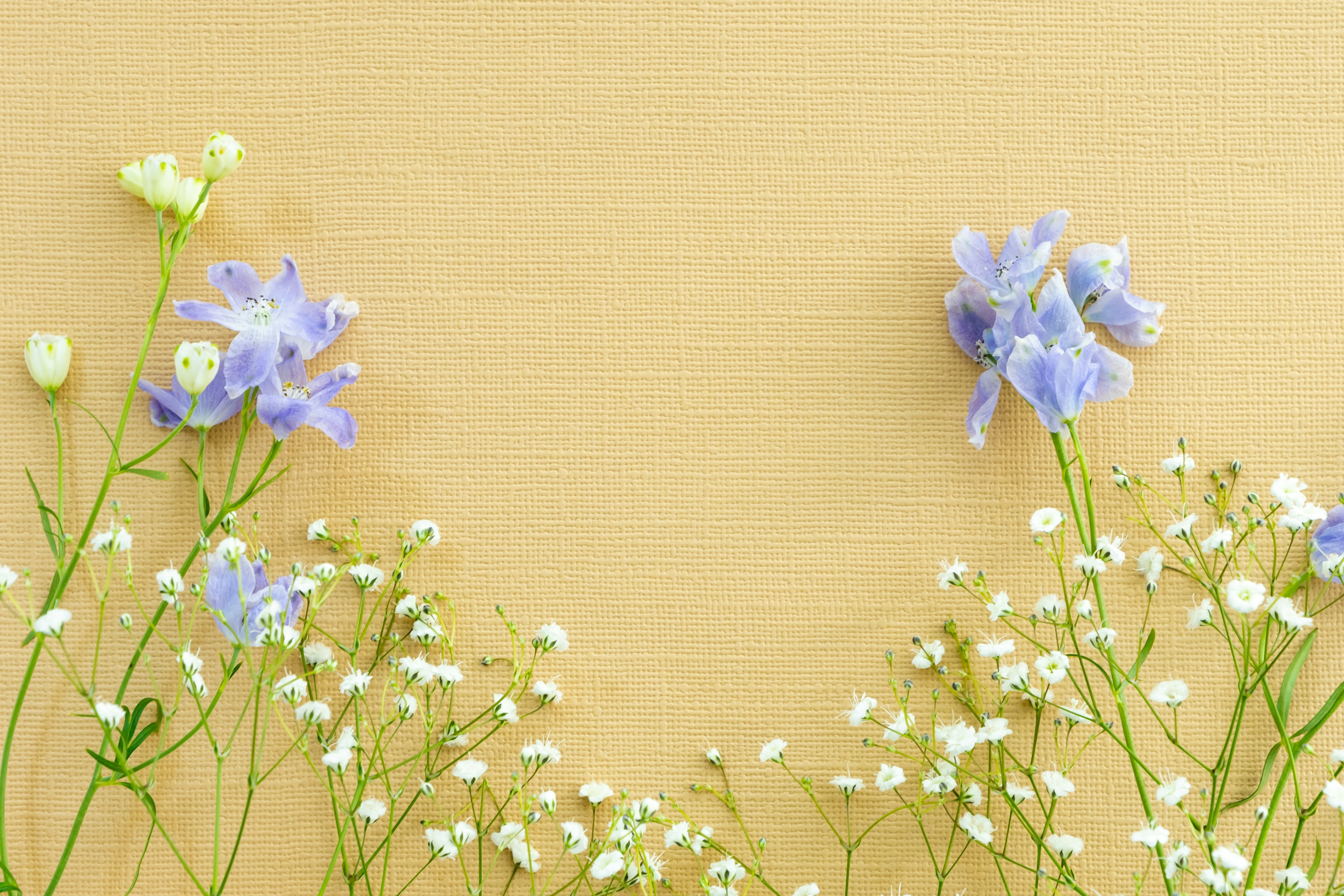 Fondo amarillo delicado con flores azul-púrpura y flores blancas dispuestas