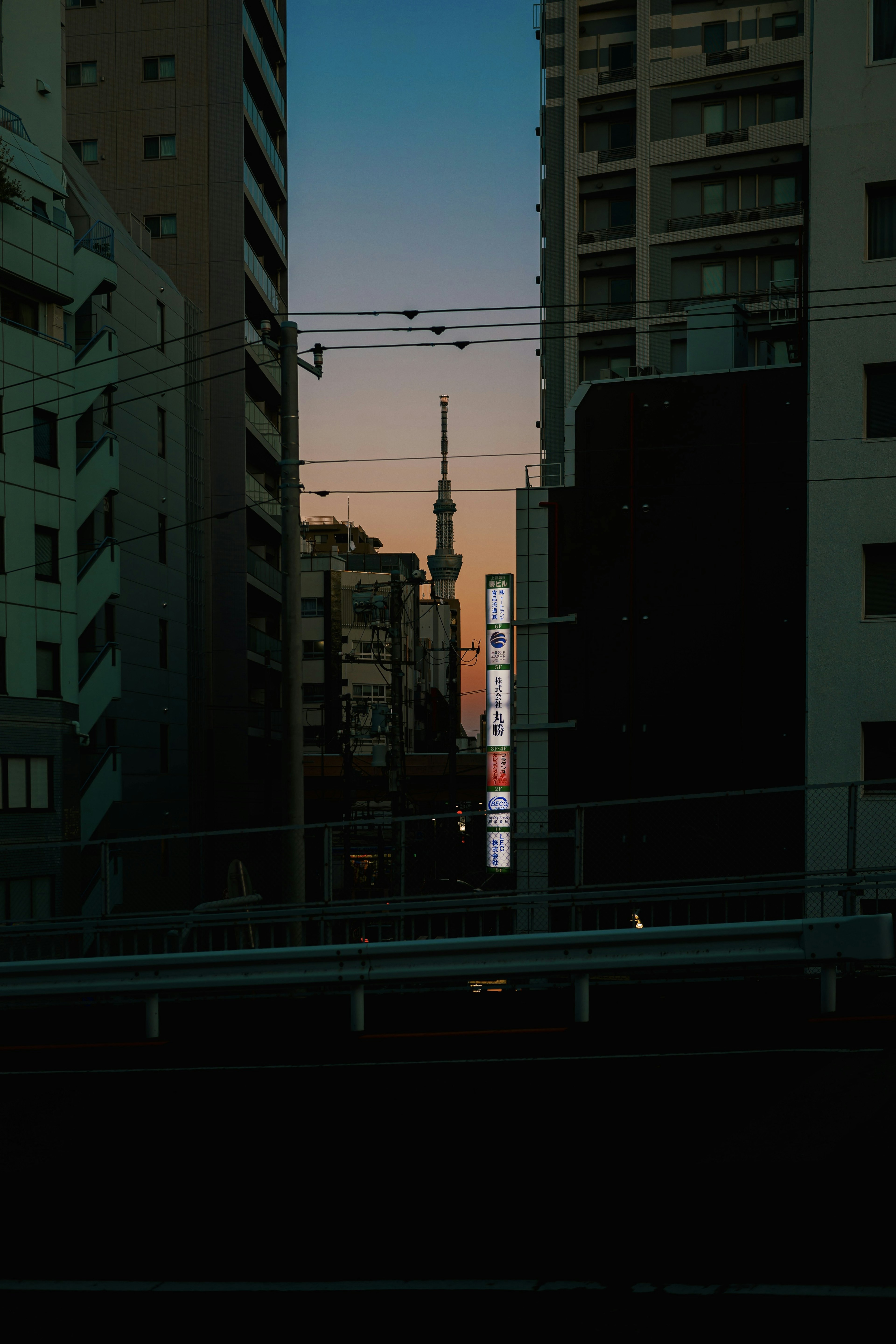 Linea di skyline di Tokyo al tramonto con Tokyo Skytree