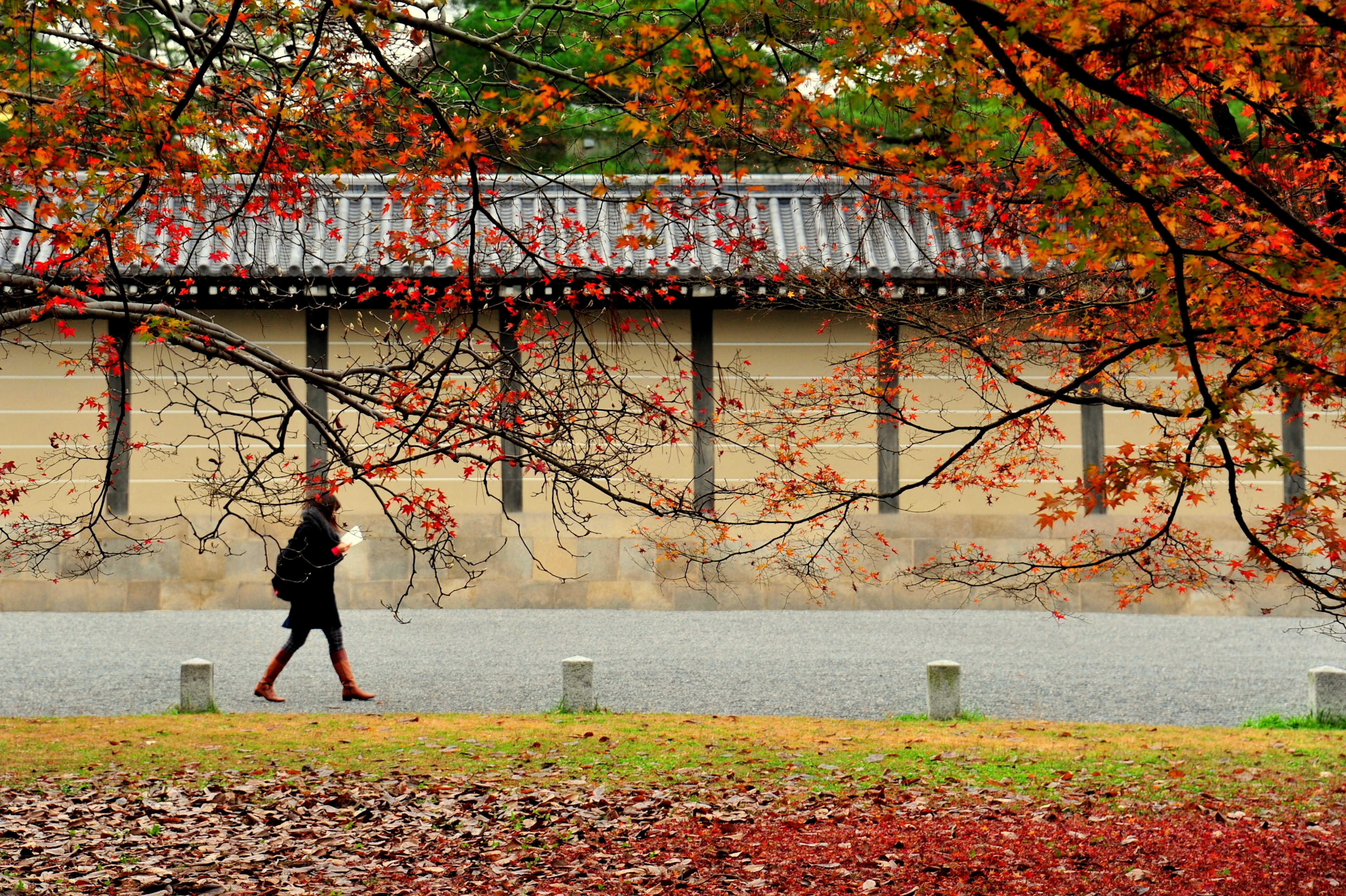 A person walking among autumn foliage with an old wall in the background