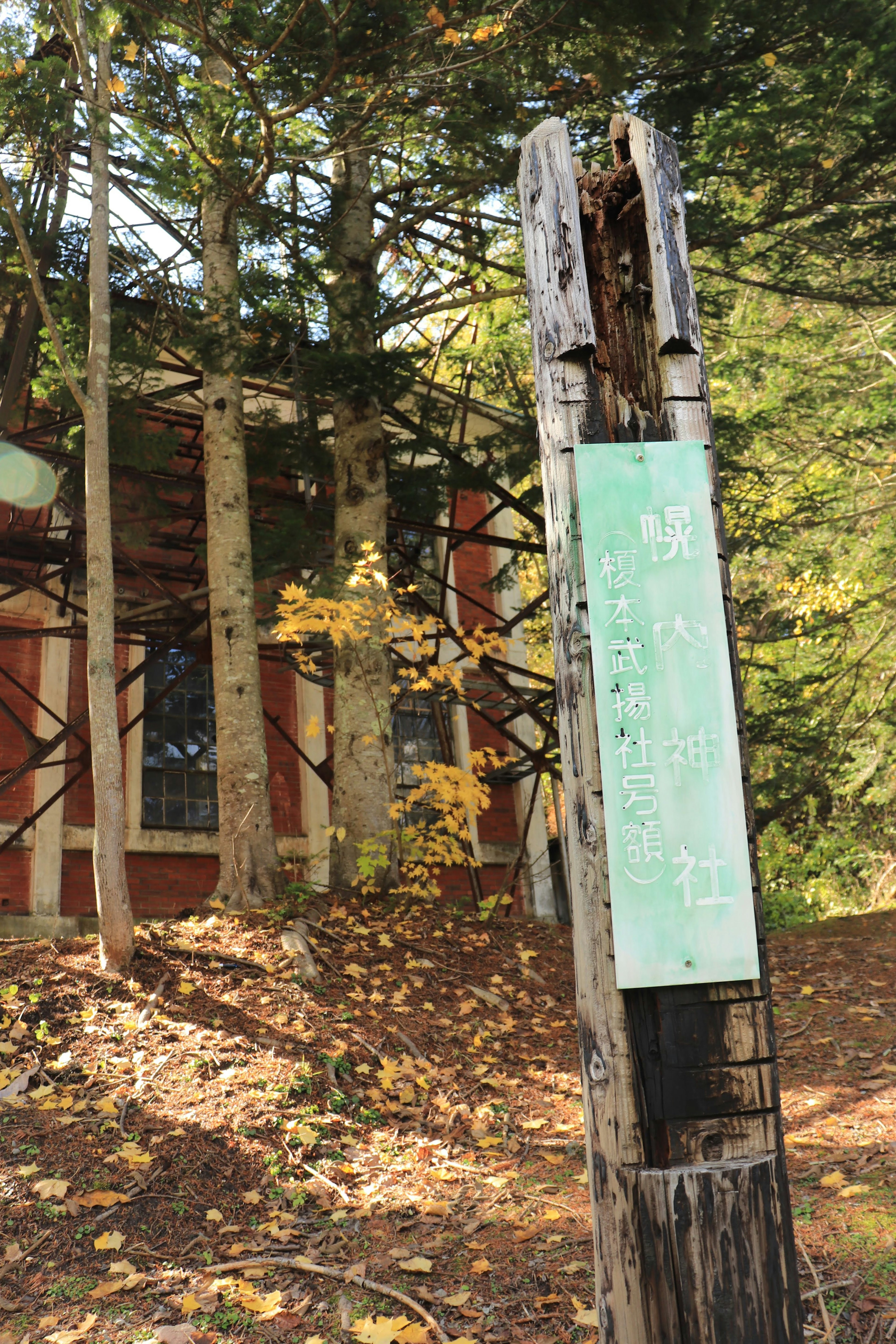 Ein alter Holzwegweiser in einer Waldlandschaft