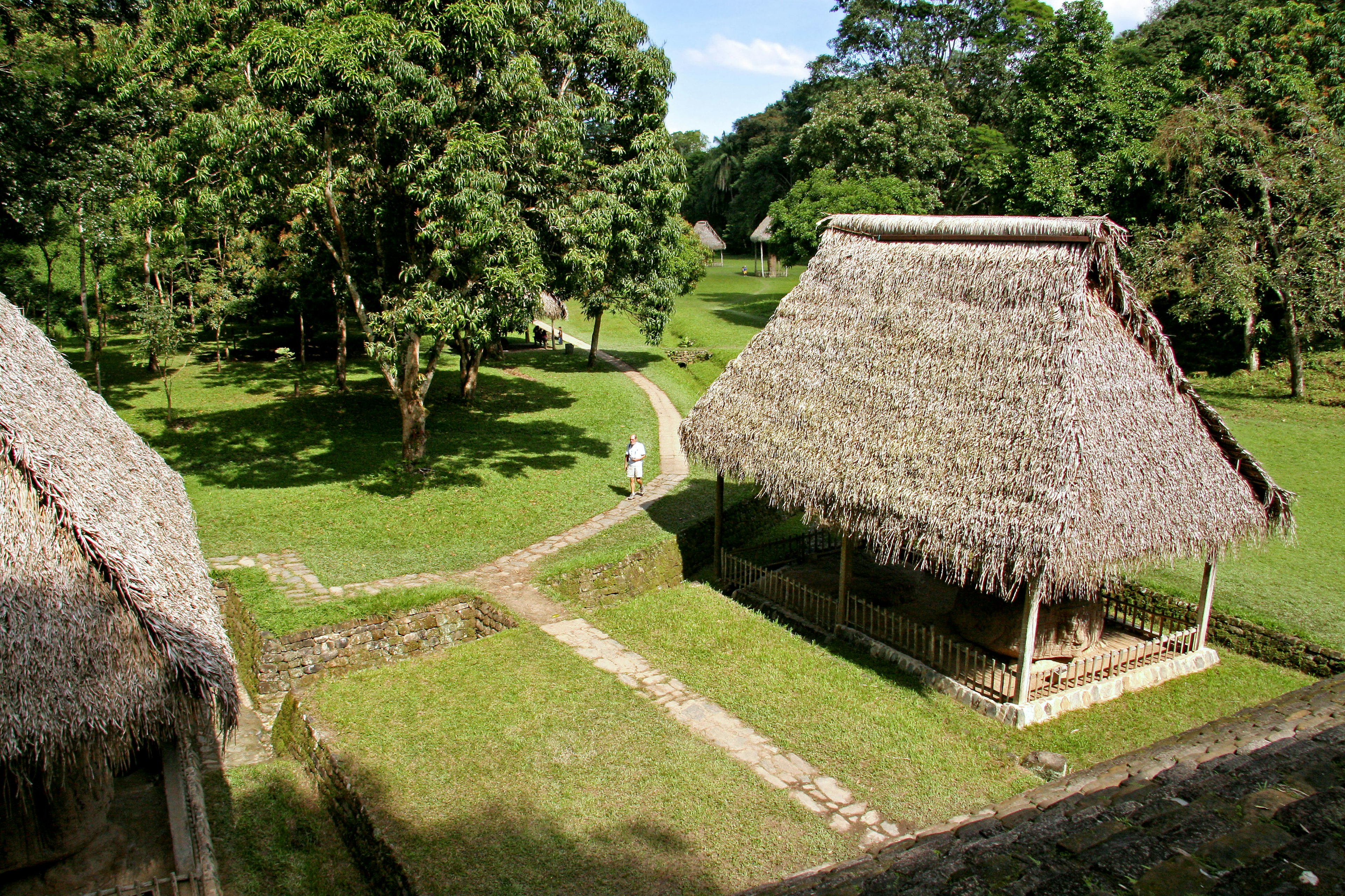 Vue pittoresque de huttes en chaume entourées de verdure et de sentiers