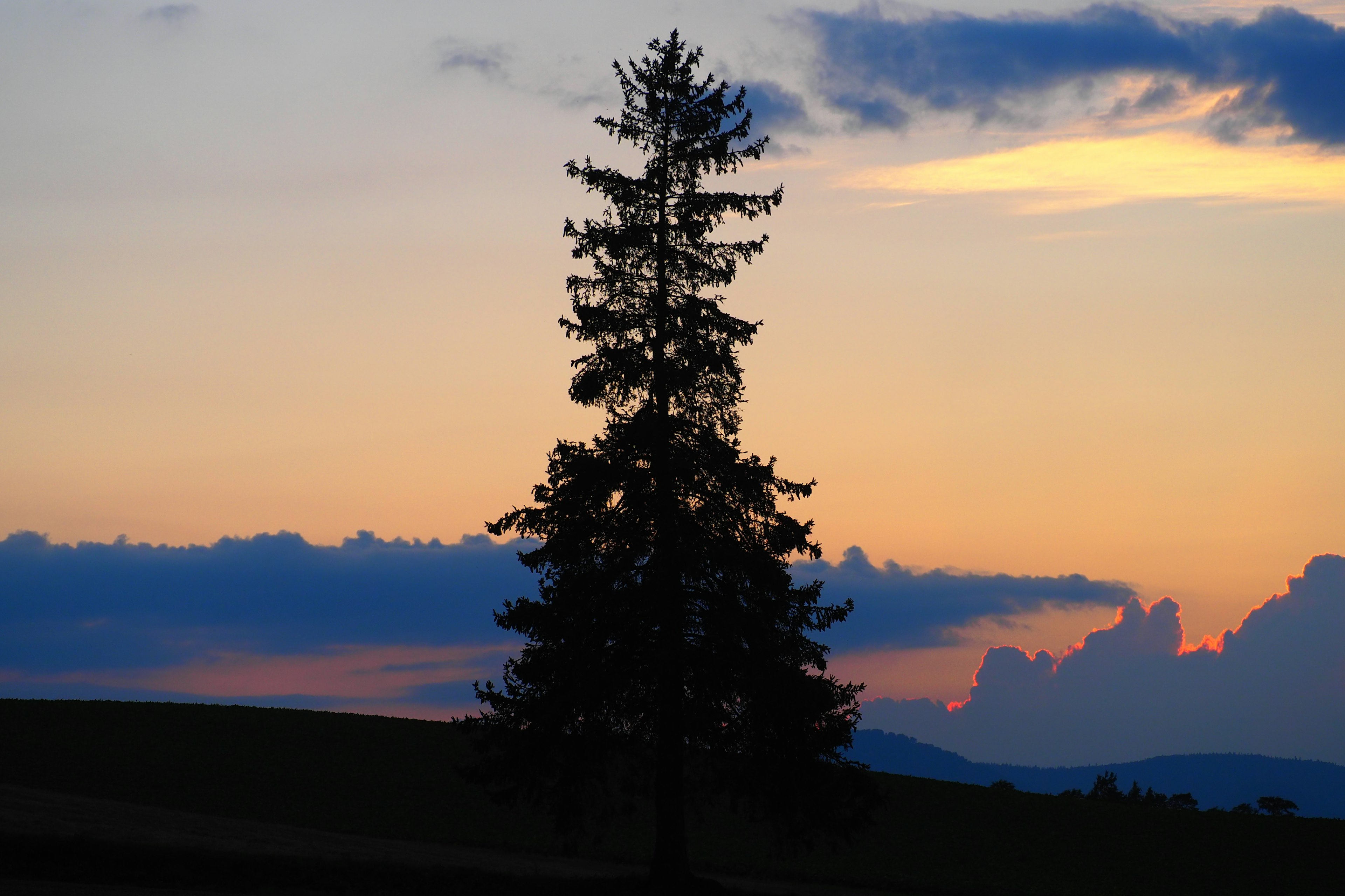 Silhouette eines einzelnen Baumes vor einem Sonnenuntergangshimmel