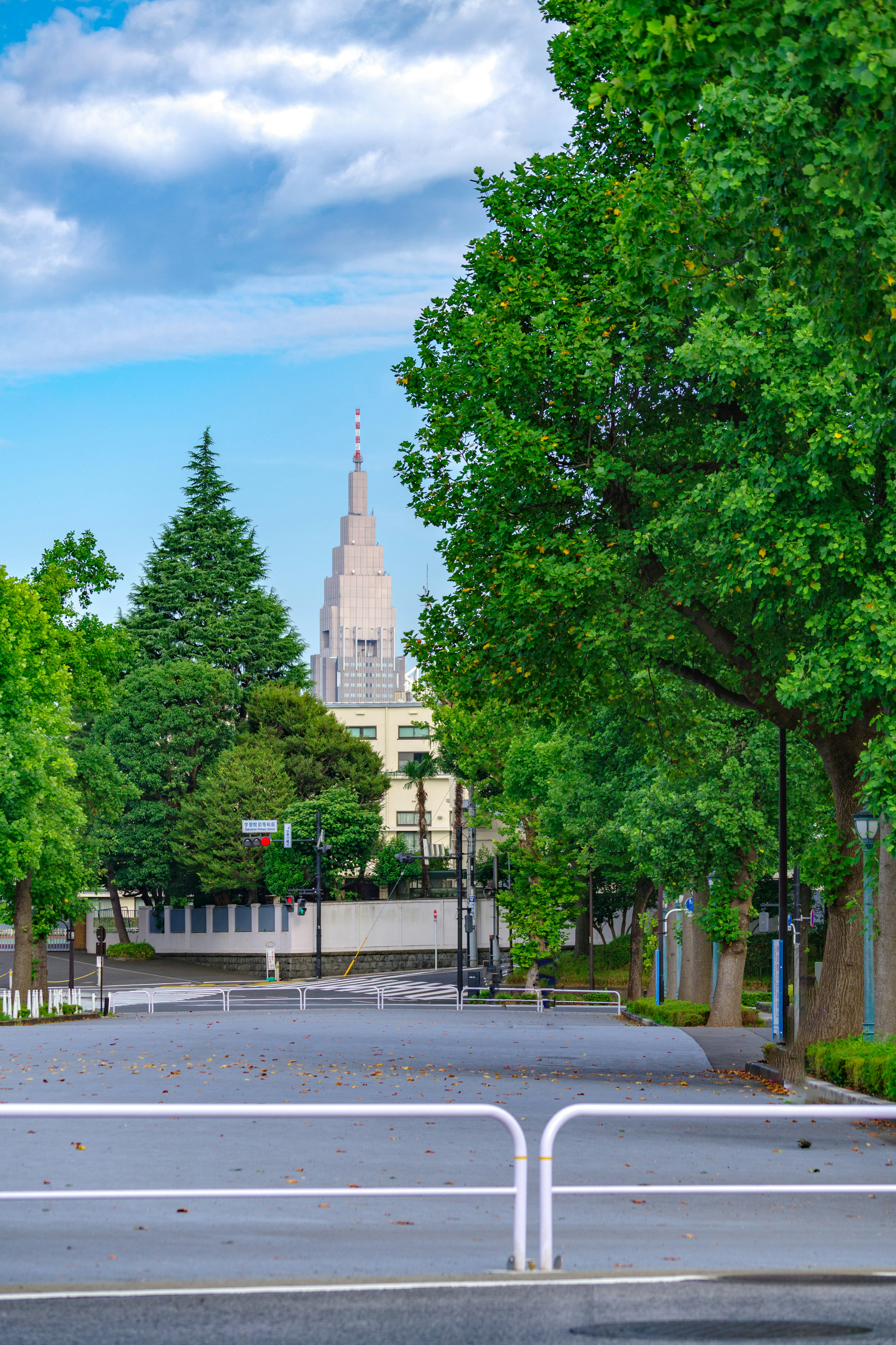 Quiet street scene with green trees and blue sky featuring a distant spire