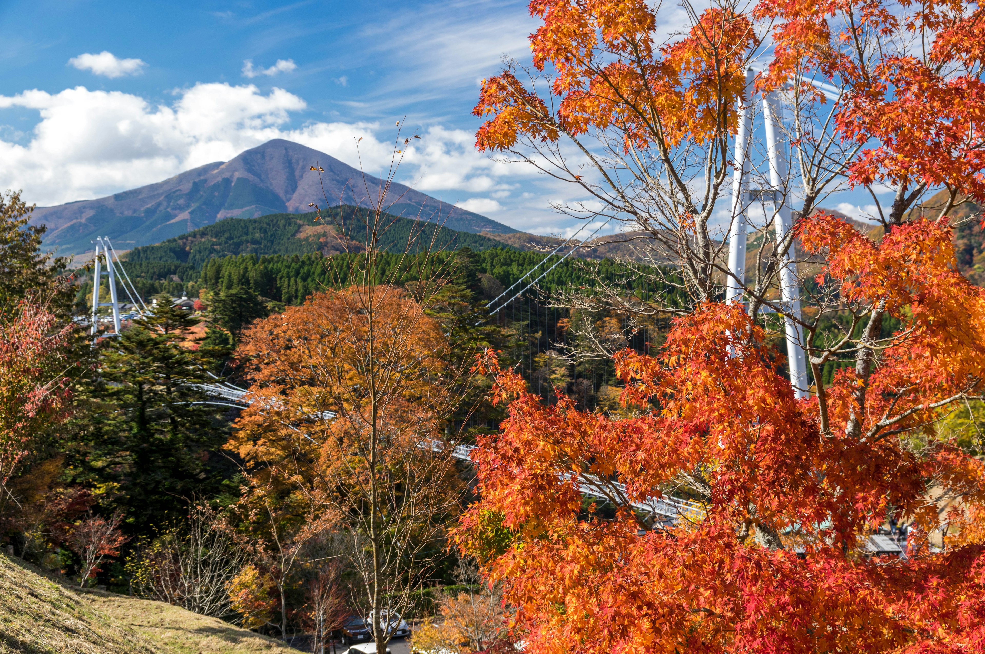 Malersicher Blick auf Herbstlaub mit einem Berg im Hintergrund