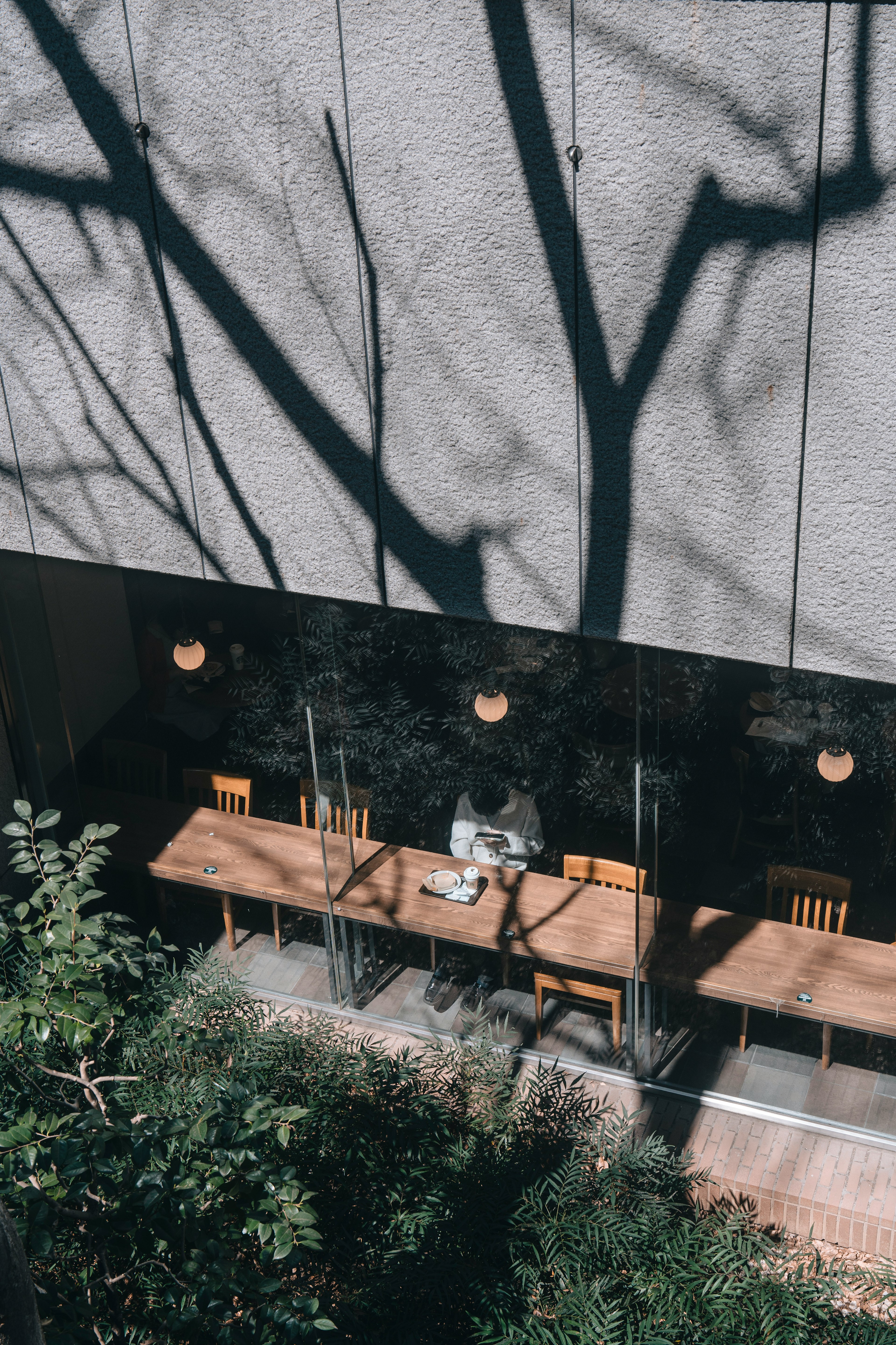 Modernes Café-Interieur mit Holztisch und Stühlen, die Baum Schatten werfen