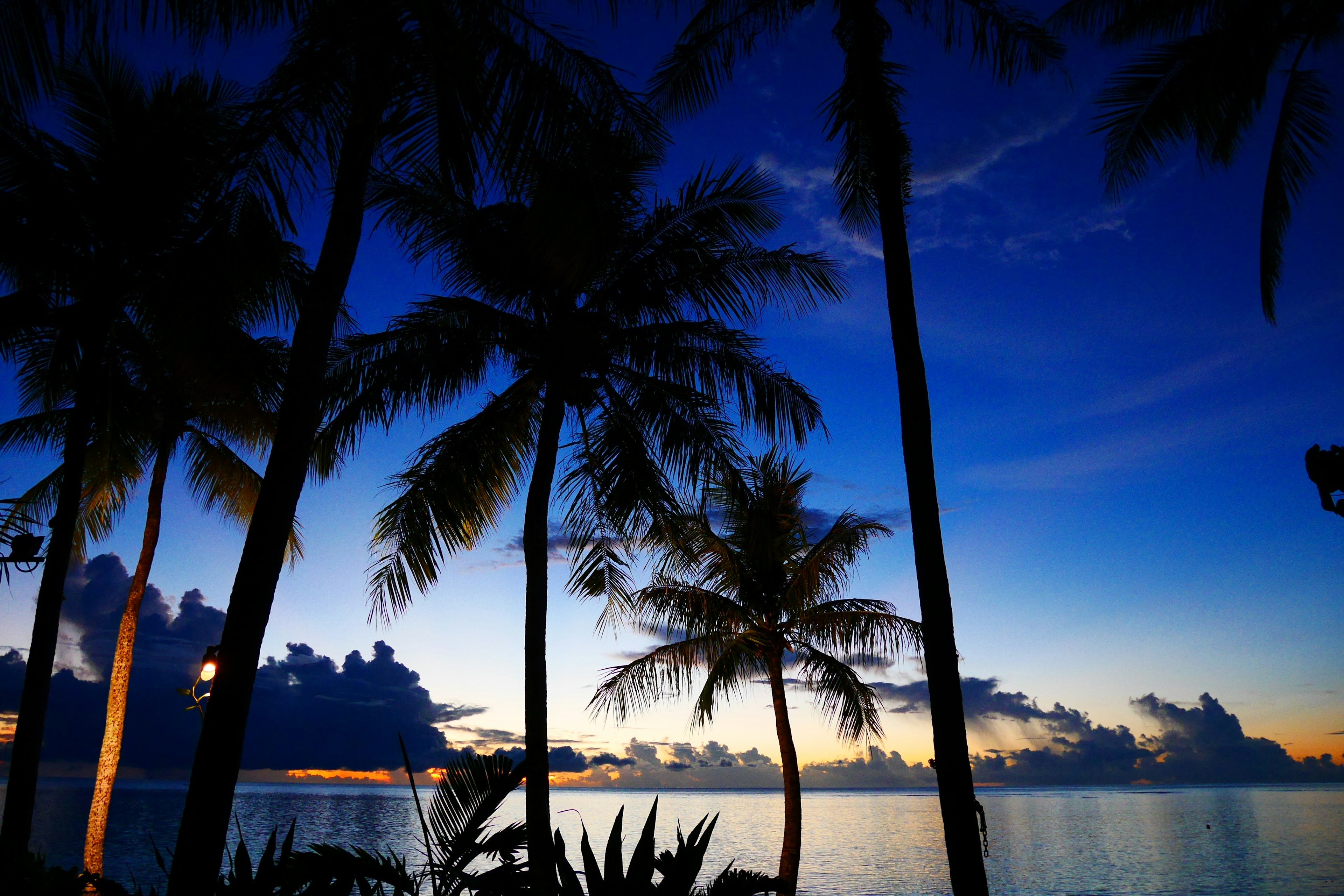 Palmiers en silhouette contre un coucher de soleil vibrant sur des eaux calmes