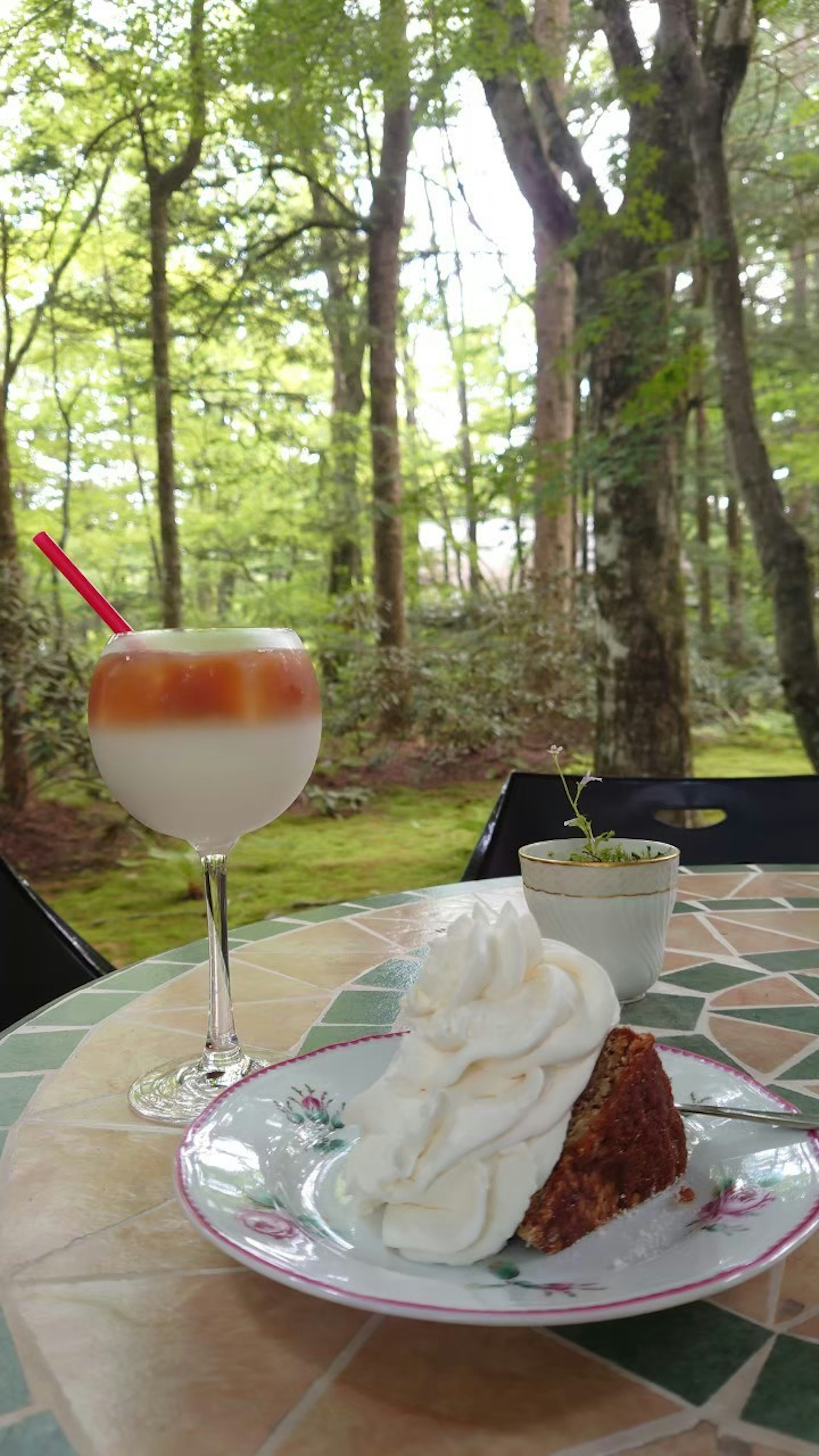 Postre y bebida en una mesa en un bosque verde